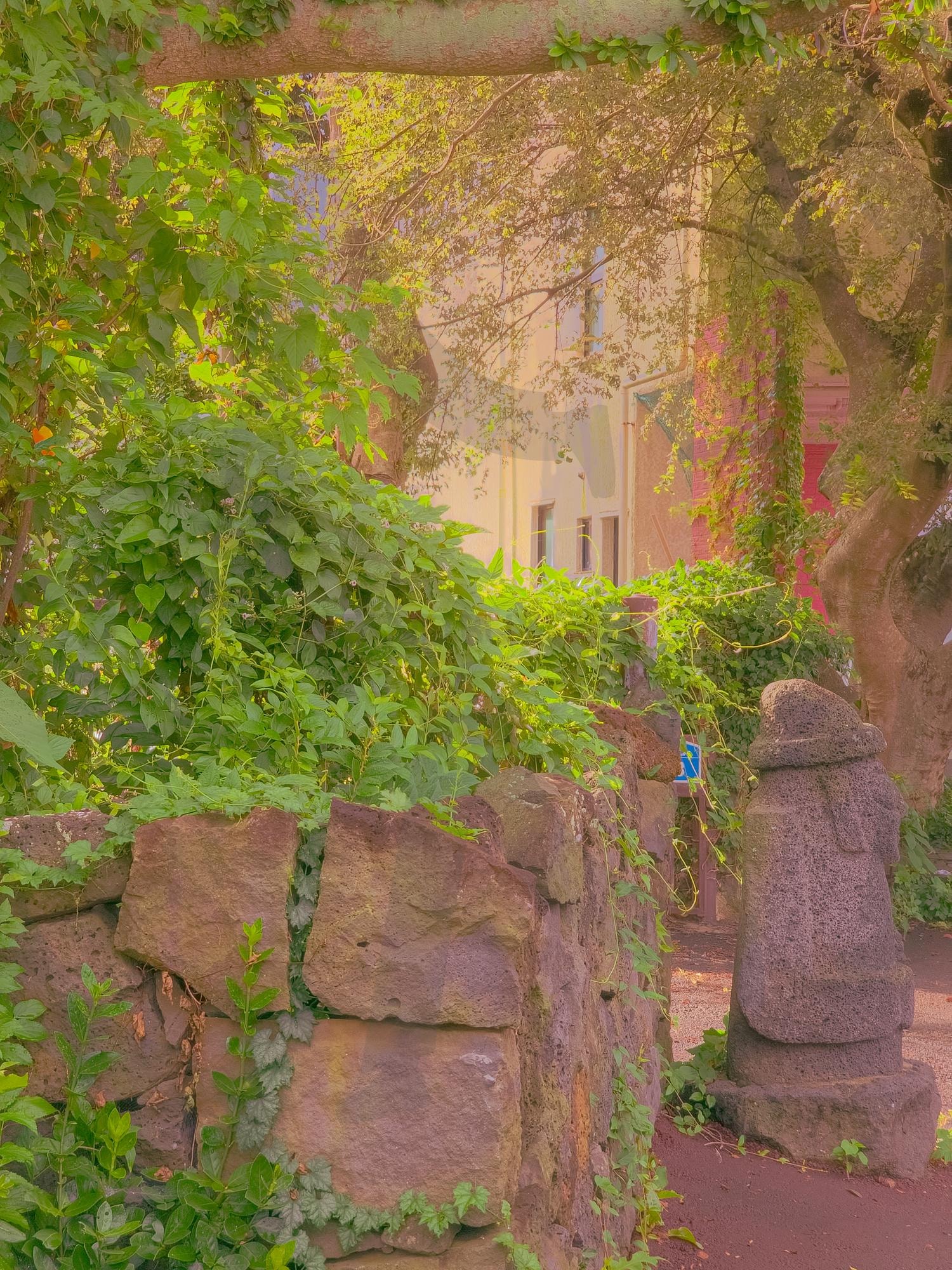 여름날 제주마을 | 제주, 돌하르방, 여름, 돌담, 나무 | 스탠바이 STANDBUY 디지털 콘텐츠