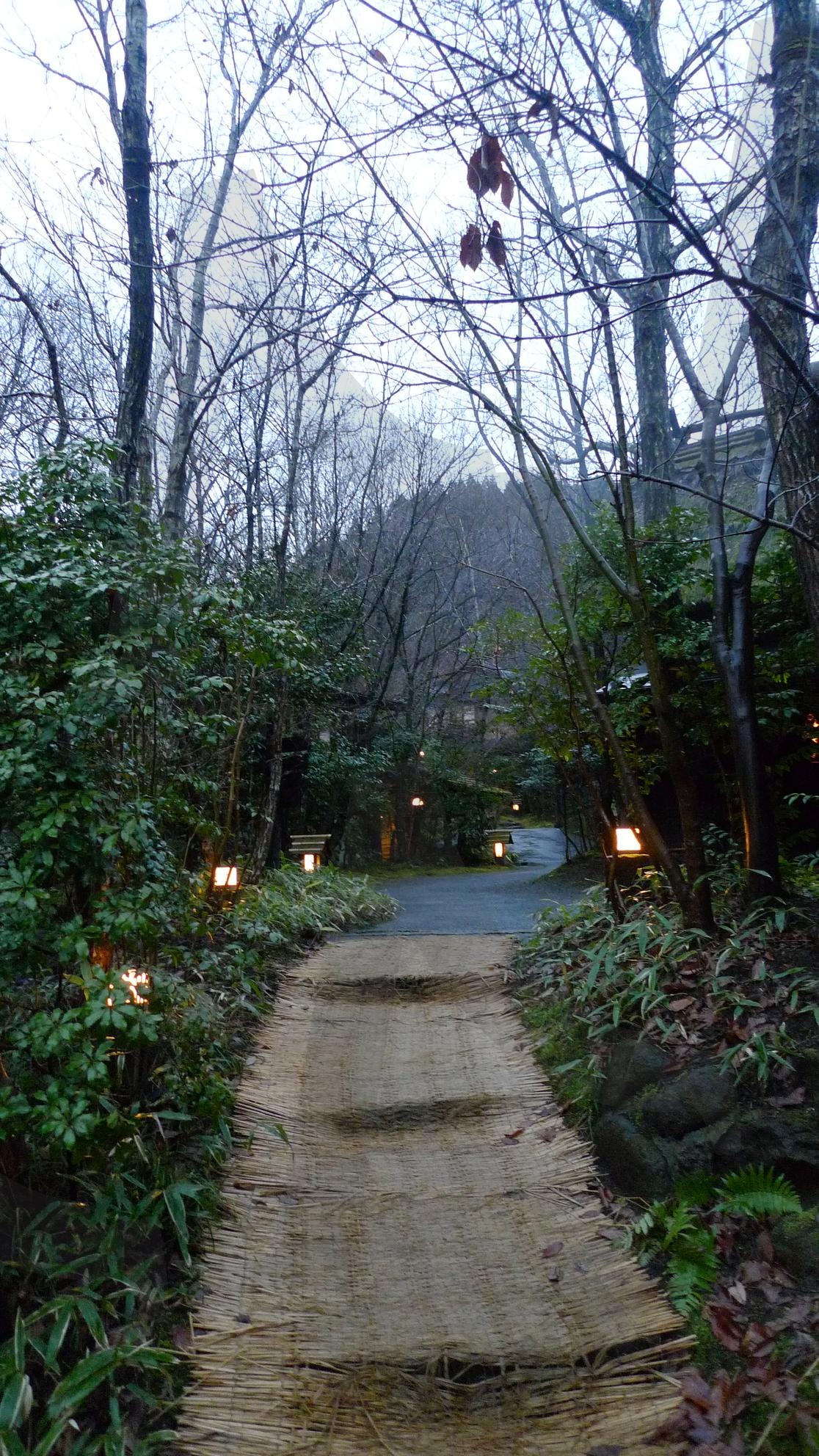 일본 후쿠오카 | 목욕, 휴식, 료칸, 전통료칸, 일본, 후쿠오카, 구로카와, 온천, 야외온천, 전통, 나무, 숲, 솦속, 힐링, 여행, 일본여행, 가족, 연인, Green | 스탠바이 STANDBUY 디지털 콘텐츠