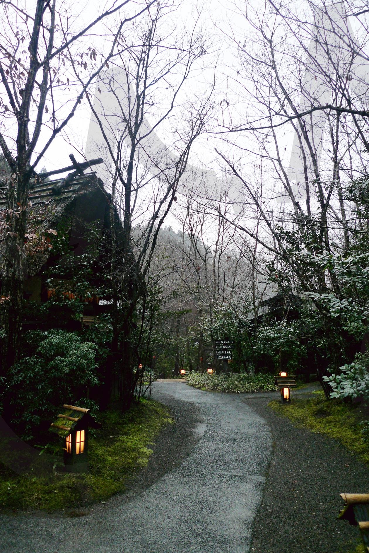 일본 후쿠오카 | 목욕, 휴식, 료칸, 전통료칸, 일본, 후쿠오카, 쿠로가와, 온천, 야외온천, 숲, 나무, 숲속, 힐링, 여행, 일본여행, 가족, 연인, Green, 포레스트 | 스탠바이 STANDBUY 디지털 콘텐츠