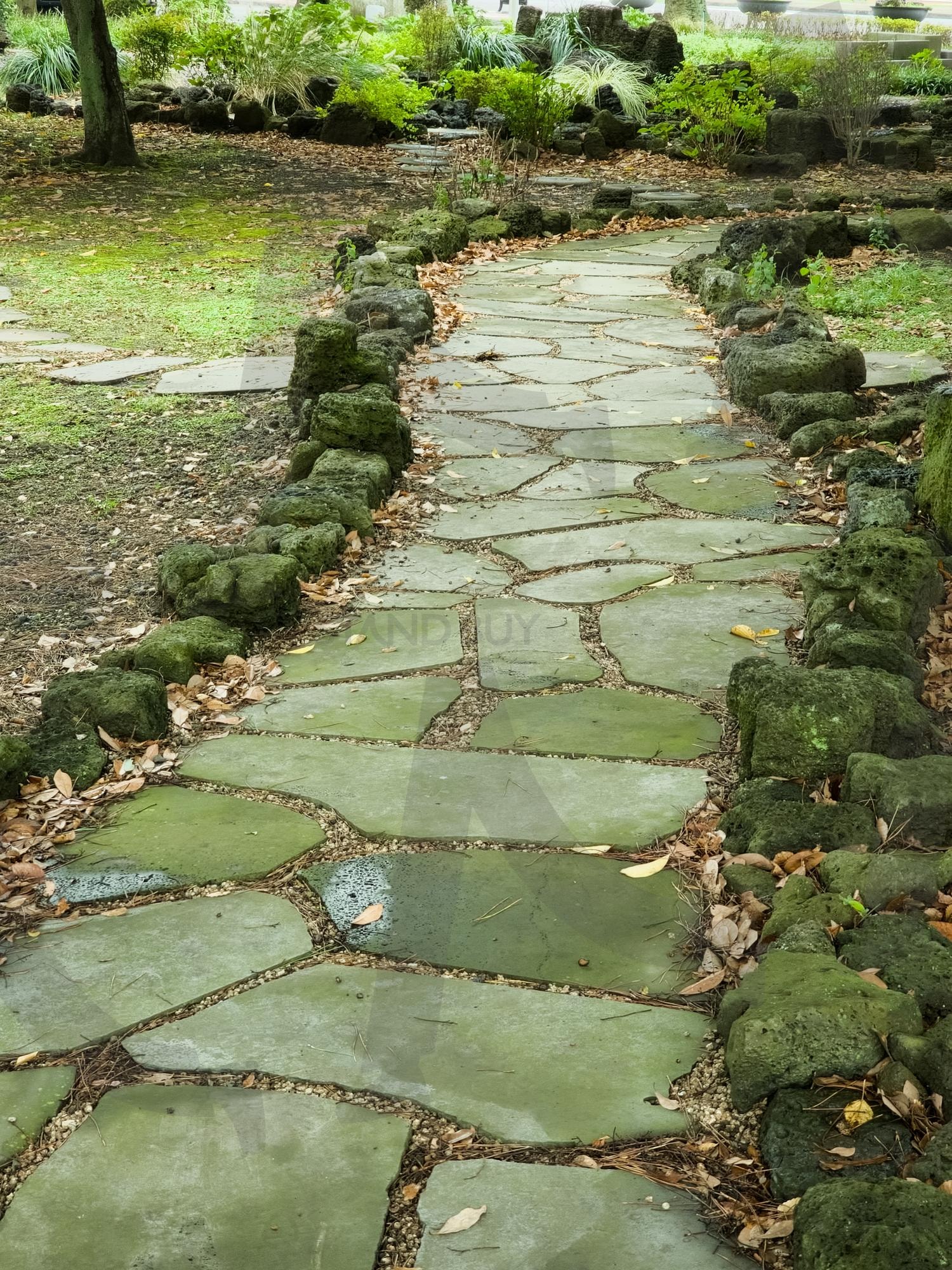 정원 속 돌길 | 정원, 돌길, 나무, 가을, 낙엽 | 스탠바이 STANDBUY 디지털 콘텐츠