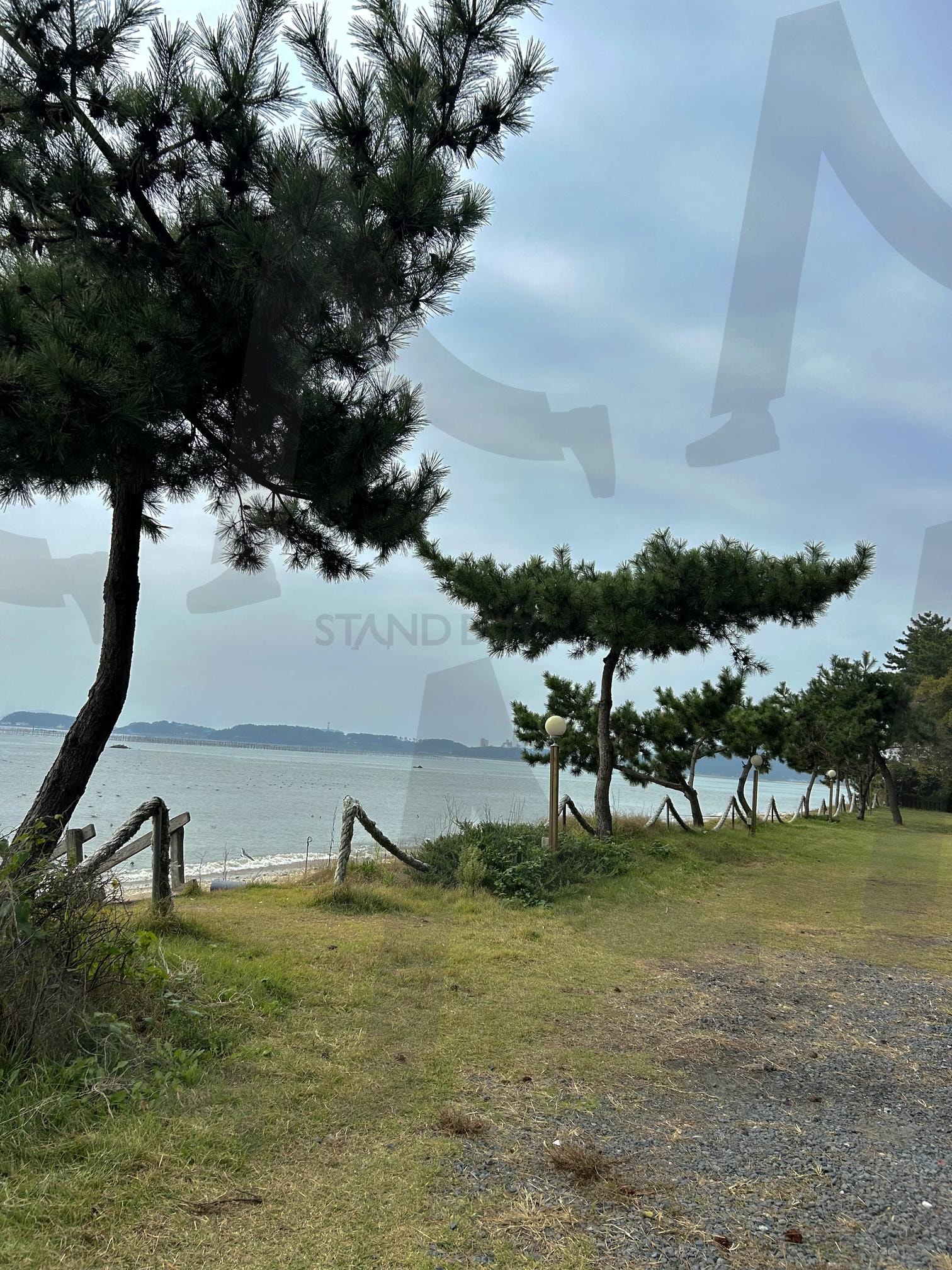 서천 바다 | 서천 여행, 춘장대해수욕장, 서천바다, 바다사진, 가을바다 | 스탠바이 STANDBUY 디지털 콘텐츠