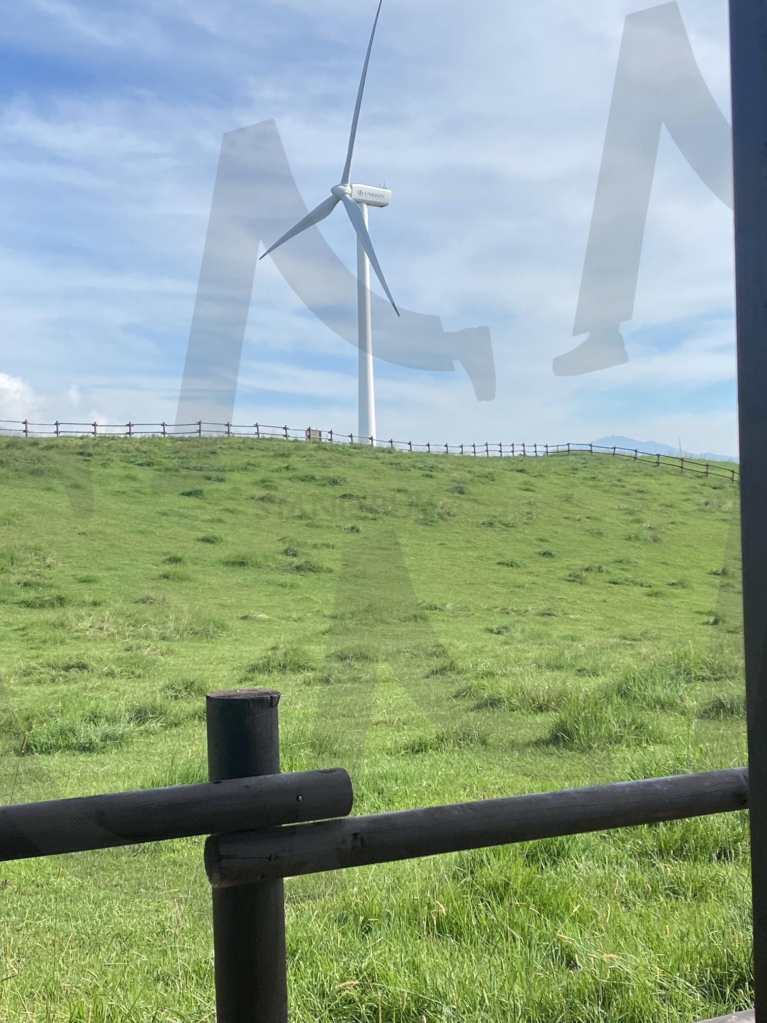 삼양목장 | 삼양목장, 강원도, 풍경, 산책, 언덕, 뷰맛집 | 스탠바이 STANDBUY 디지털 콘텐츠