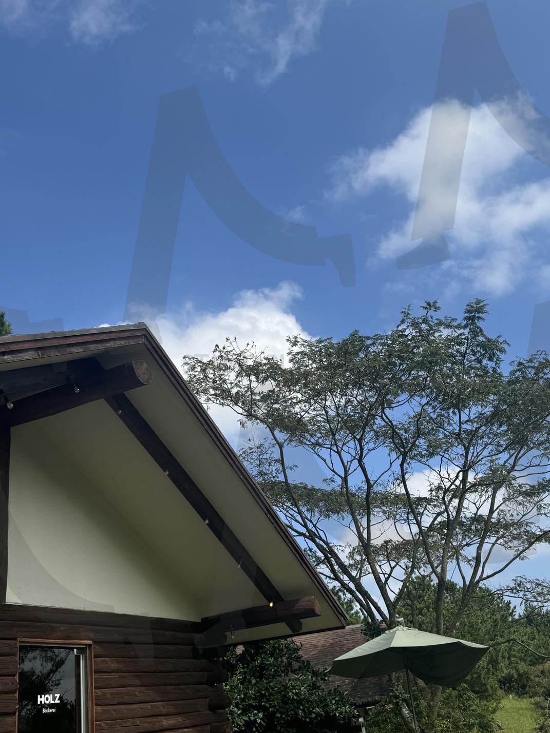 화창하고 맛있는 디저트집 풍경(자연&건물) | 제주도, 홀츠, 디저트, 맛집, 풍경 | 스탠바이 STANDBUY 디지털 콘텐츠