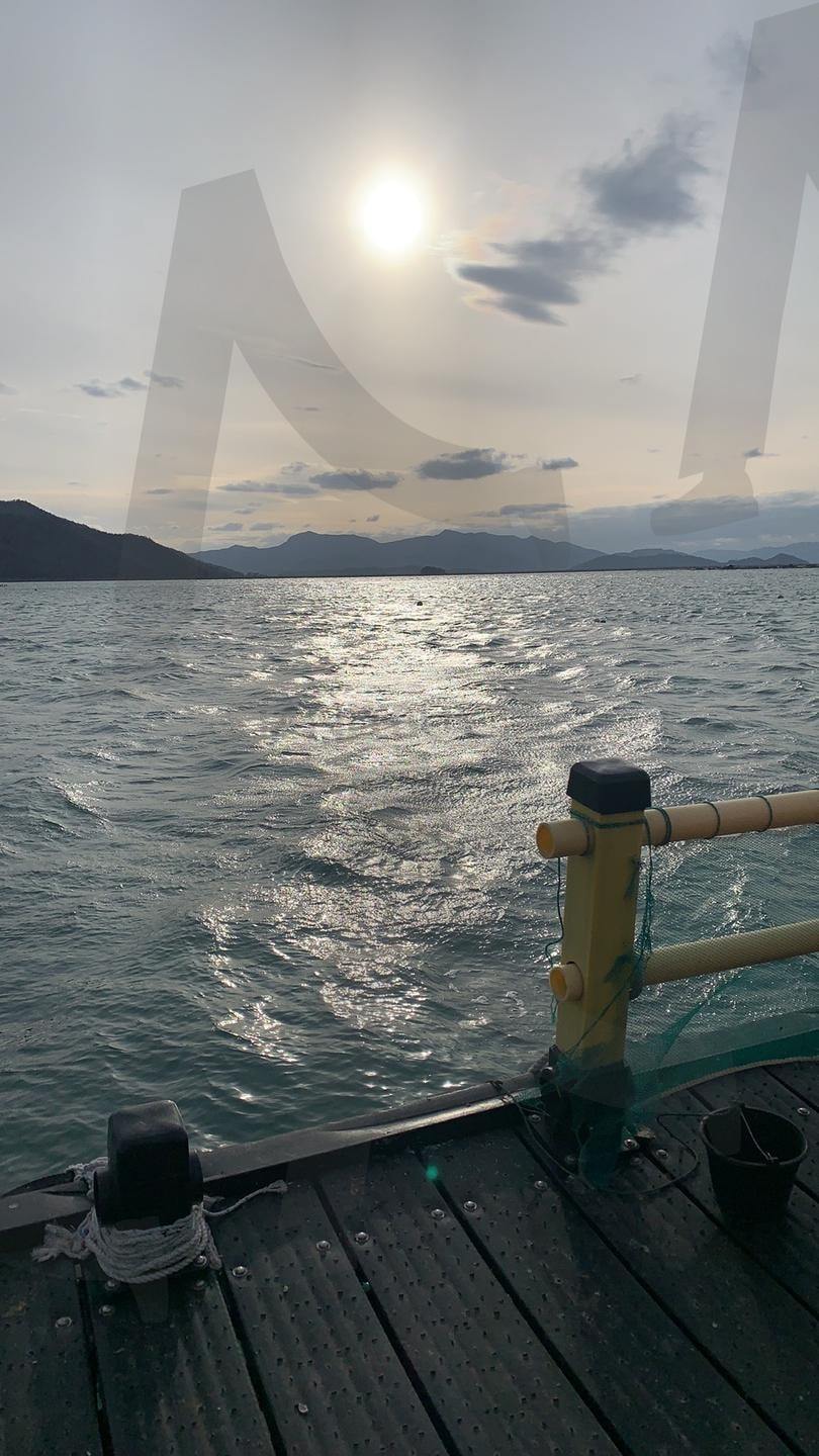 바다의 빛 | 바다, 반사, 평화로운, 자연, 풍경, 빛, 수평선, 고요함 | 스탠바이 STANDBUY 디지털 콘텐츠