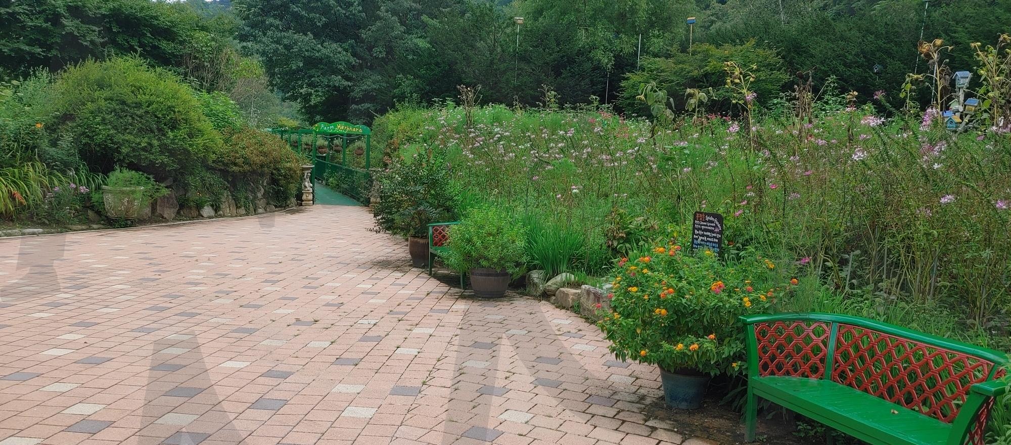 강원도 평창 허브나라 | 강원도, 평창, 허브나라, 허브향, 여행 | 스탠바이 STANDBUY 디지털 콘텐츠