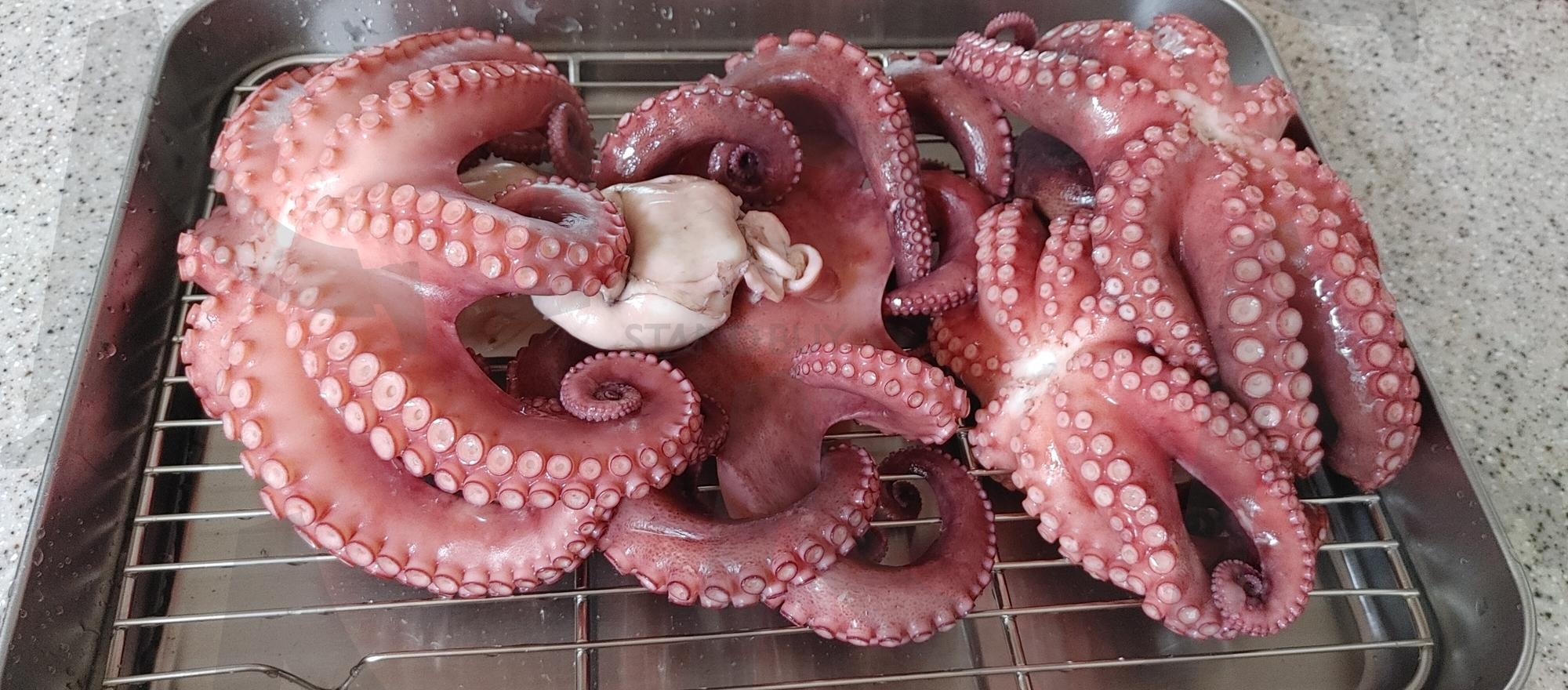 자숙문어 | 문어, 자숙문어, 탱글탱글, 맛있는, 보양식 | 스탠바이 STANDBUY 디지털 콘텐츠