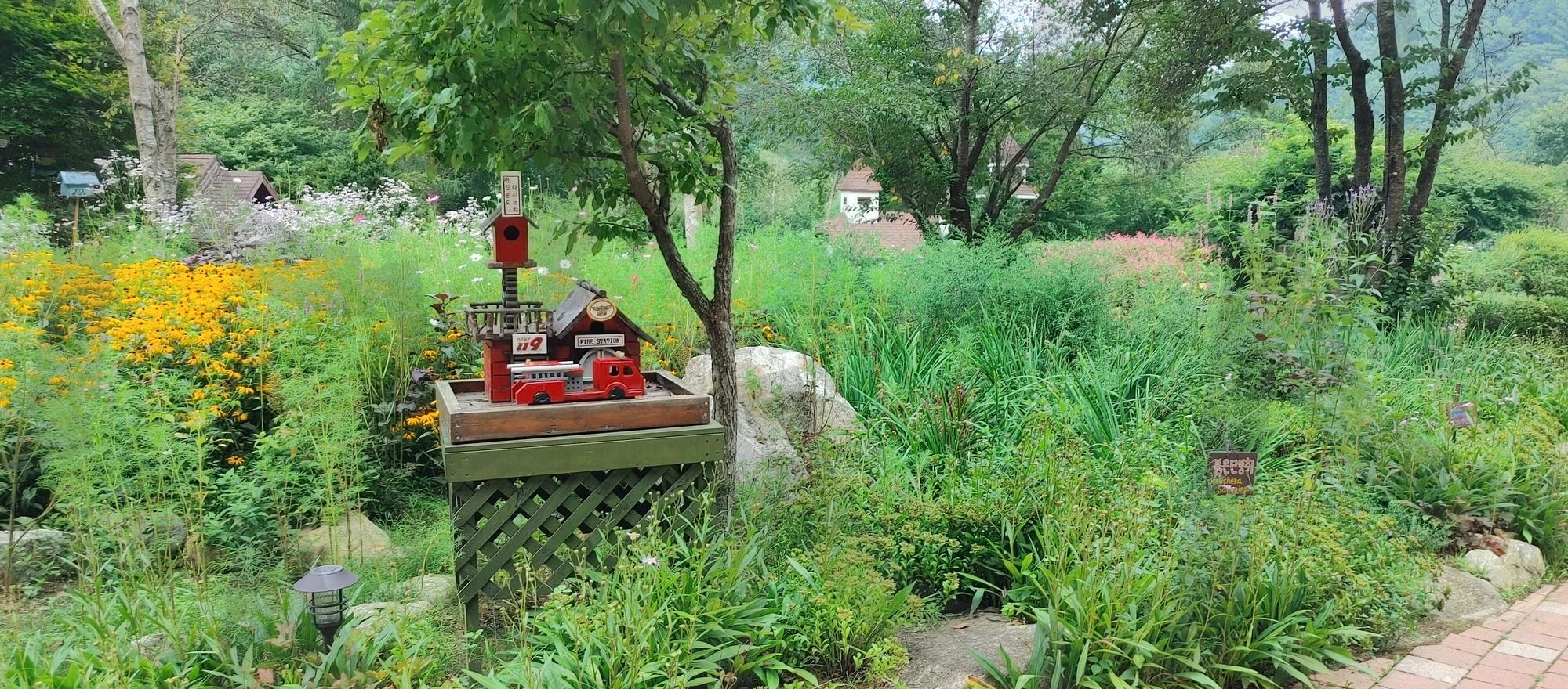 강원도 평창 허브나라 | 강원도, 평창, 허브나라, 허브향, 여행 | 스탠바이 STANDBUY 디지털 콘텐츠