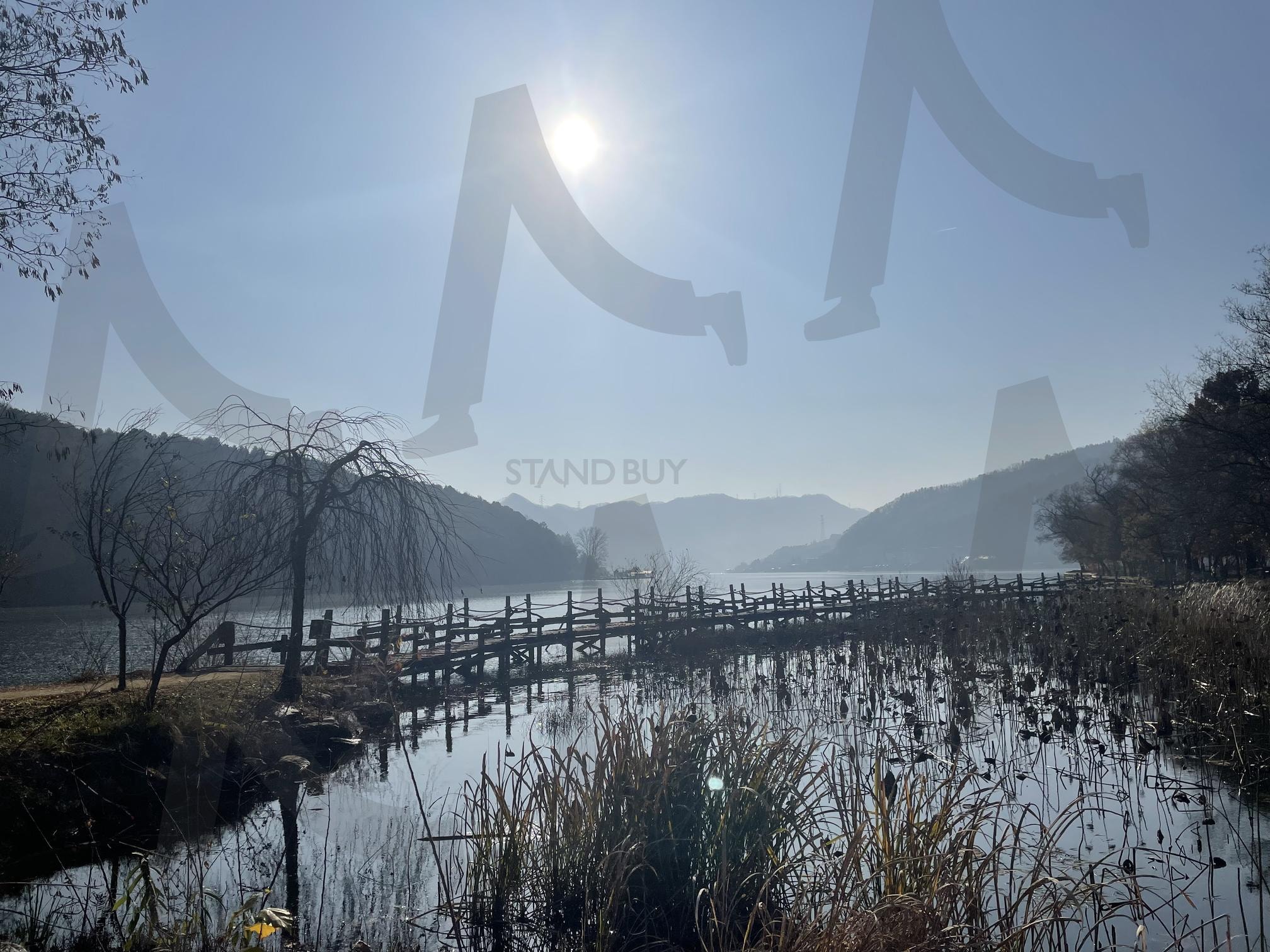남이섬 아침 | 호수풍경, 겨울풍경, 겨울자연, 고요한아침, 평화로운자연 | 스탠바이 STANDBUY 디지털 콘텐츠