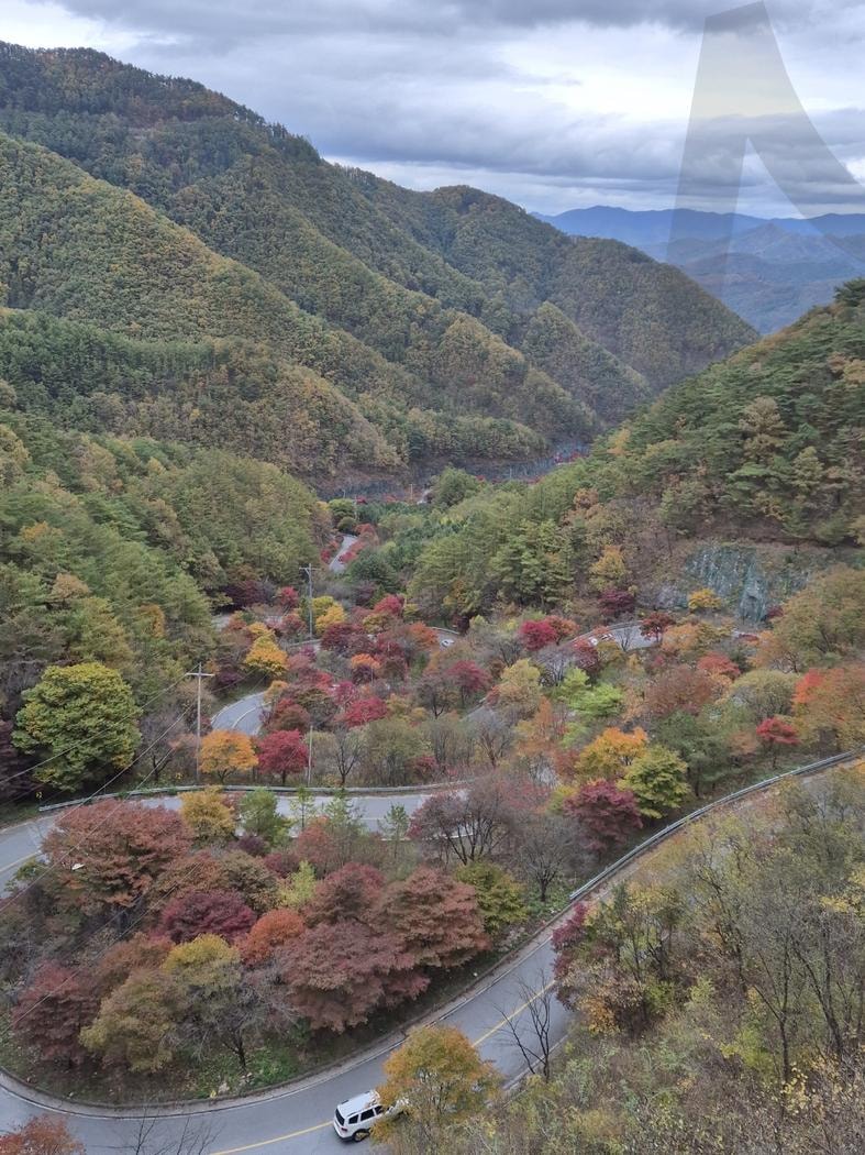 보발재 전망대 | 보발재, 전망대, 가을, 풍경, autumn, fallen leaves, observatory, korea | 스탠바이 STANDBUY 디지털 콘텐츠