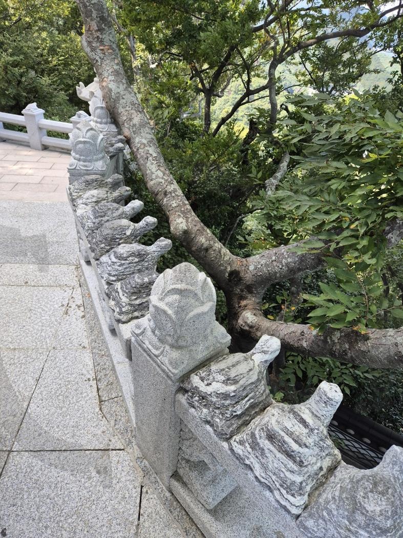 여수 향일암 | 향일암, 여수, 절, 바다, korea, temple, 거북이, 조각상 | 스탠바이 STANDBUY 디지털 콘텐츠