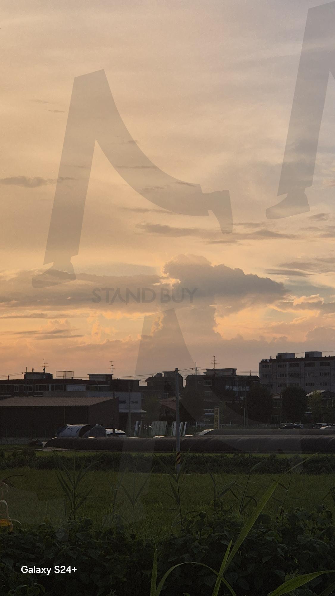 난 한국에 사는데 음.. 핵 폭발 같은 구름 사진이.. | 핵, 구름, 오후 6시, 노을, 가을, 신기한 사진 | 스탠바이 STANDBUY 디지털 콘텐츠