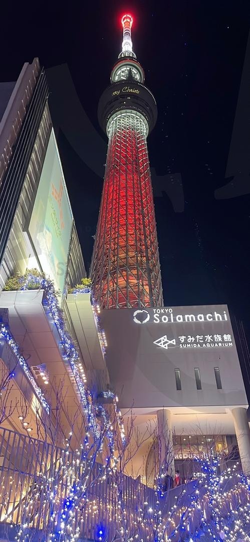 타워 | 일본, 타워, 크리스마스, 풍경, LED | 스탠바이 STANDBUY 디지털 콘텐츠