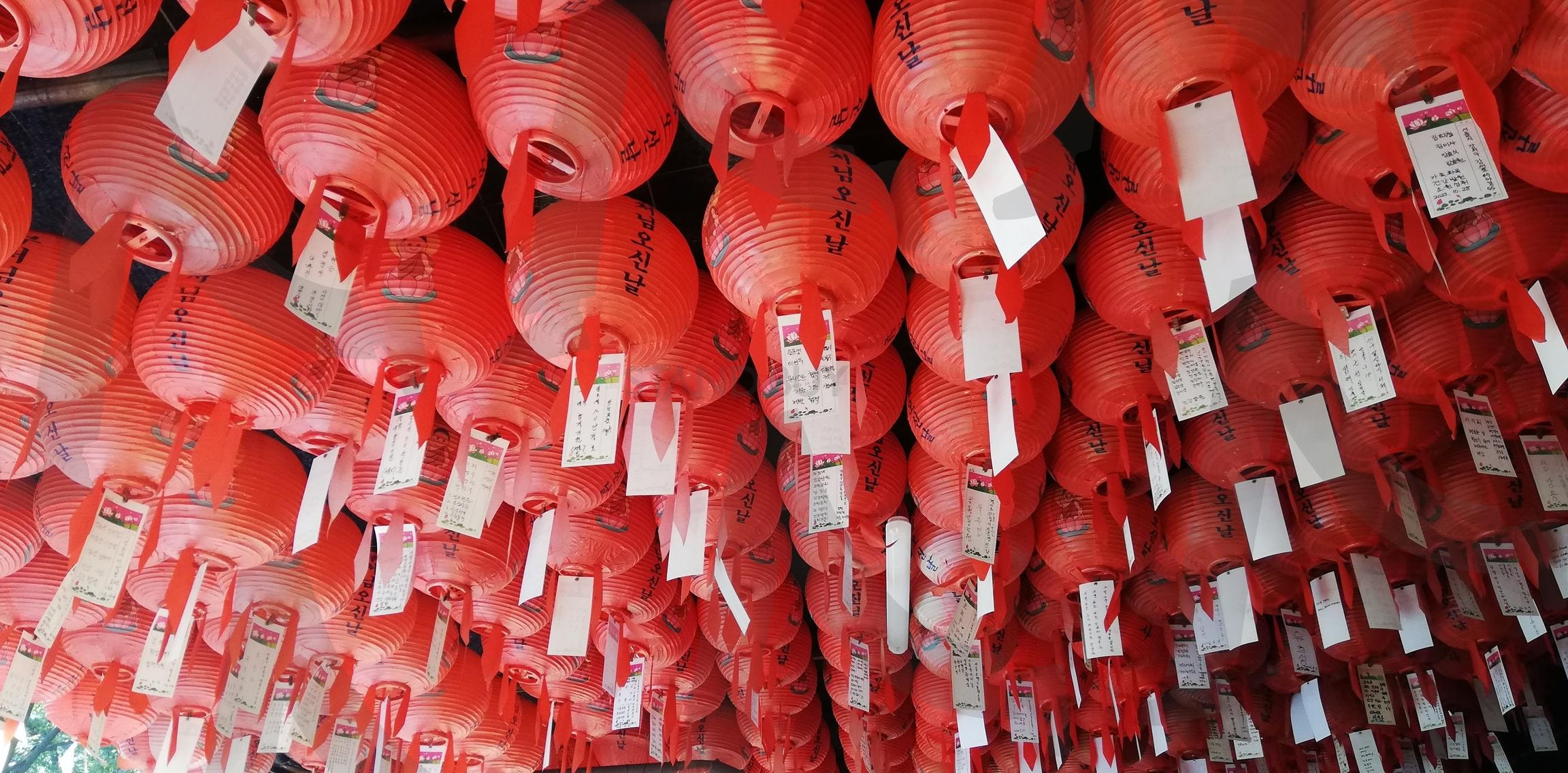 Buddhist lantern(불교 연등) | lBuddhist lantern, 연등, 불교연등, Buddhist, 불교 | 스탠바이 STANDBUY 디지털 콘텐츠