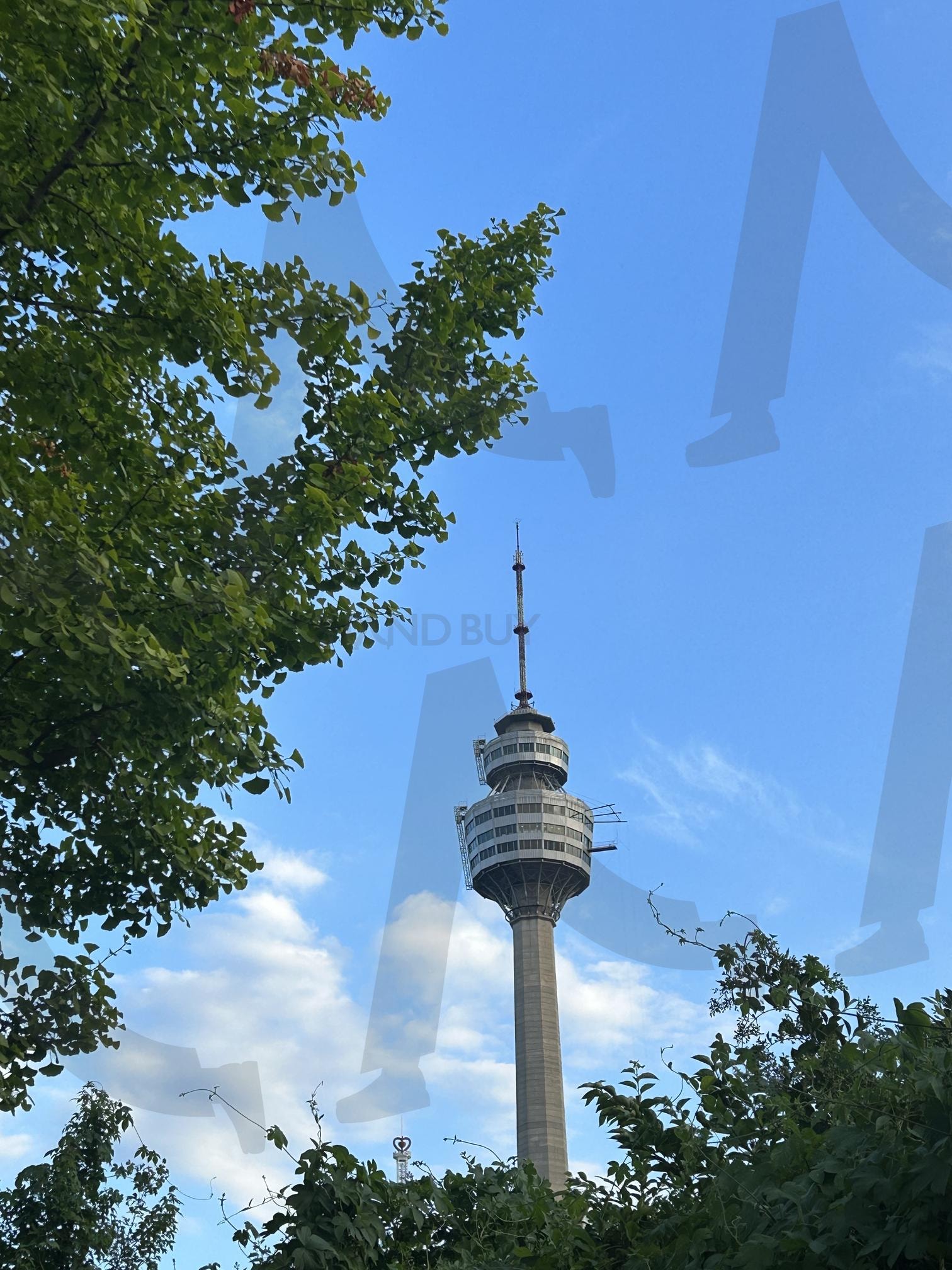 이월드 타워 (tower) | 타워, 대구이월드, 이월드타워, Daegu, korea, 풍경 | 스탠바이 STANDBUY 디지털 콘텐츠