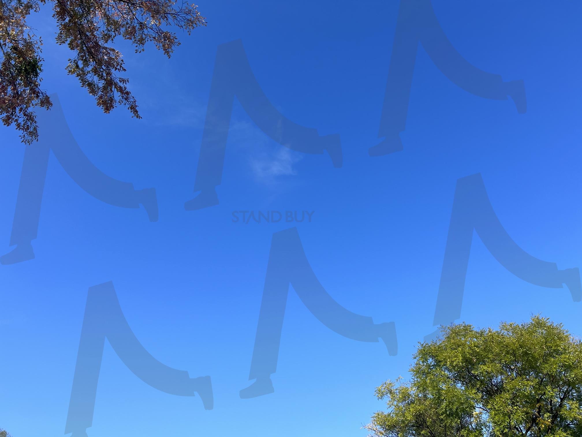 가을 하늘 | 하늘, 가을하늘, 가을, sky, korea, 푸른하늘, 맑은하늘 | 스탠바이 STANDBUY 디지털 콘텐츠