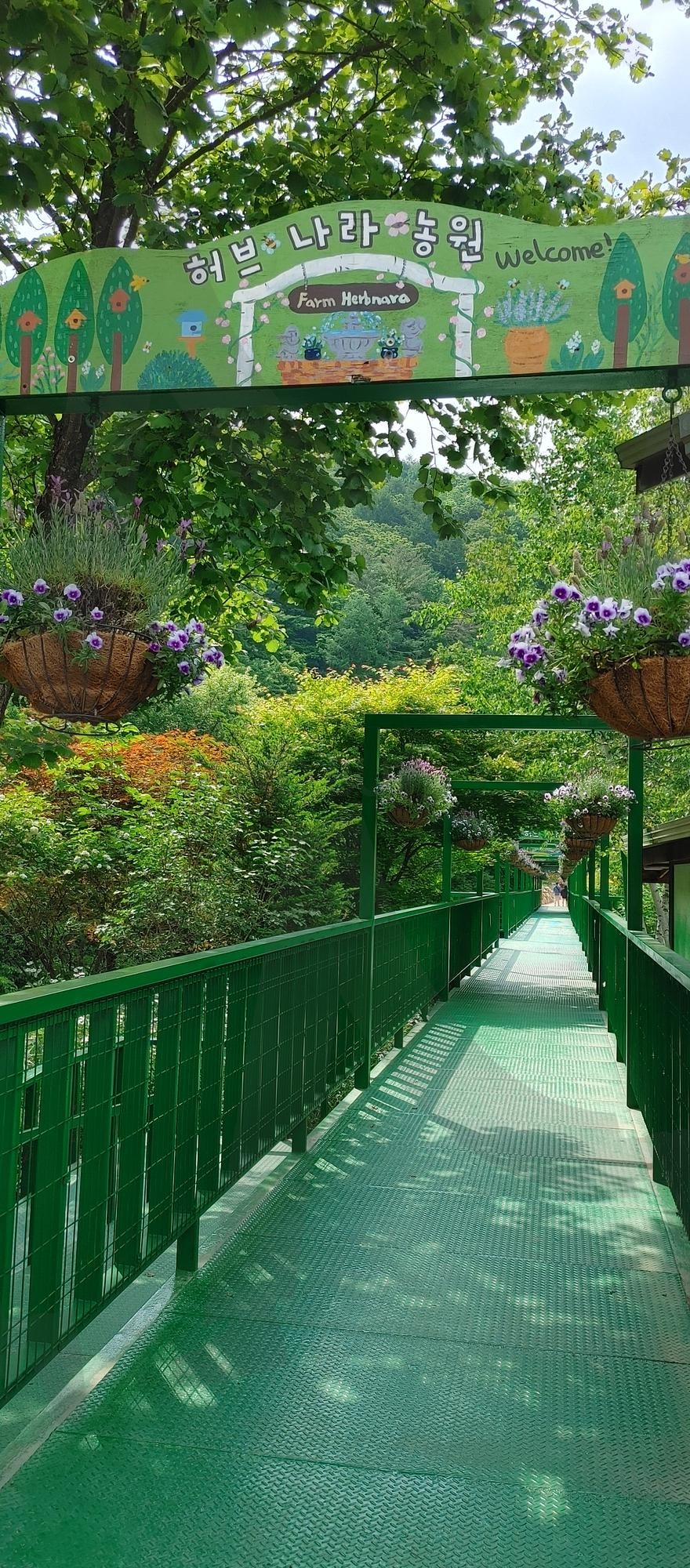 평창 허브나라 | 강원도, 평창, 허브나라, 허브향, 힐링여행 | 스탠바이 STANDBUY 디지털 콘텐츠