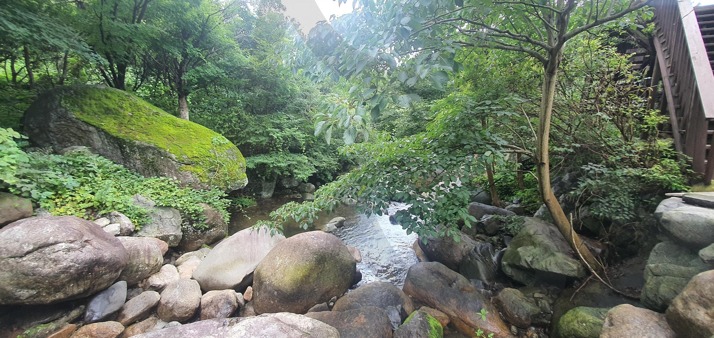 자연의 품에 안긴 계곡 | 계곡, 산, 자연, 고요함, 물소리, 푸른 나무, 평화로운 풍경, 자연의 아름다움, 안식처, 숲, 신선한 공기, 자연 속 휴식, 풍경, 여유 | 스탠바이 STANDBUY 디지털 콘텐츠