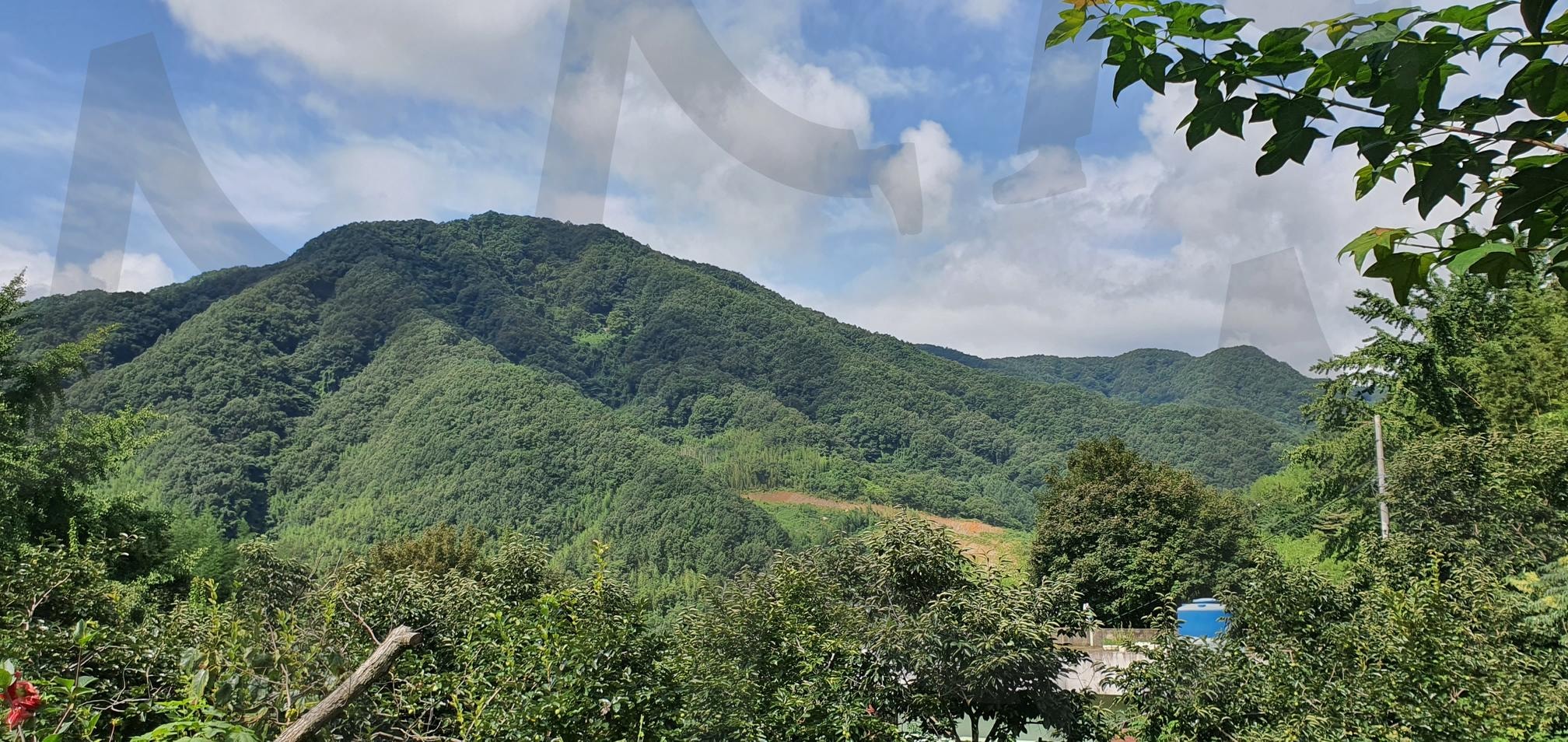 고요한 산의 정경 | 산, 나무, 구름, 하늘, 자연, 고요함, 평화로운 풍경, 자연의 아름다움, 푸른 하늘, 웅장함, 조화, 여유, 숲, 자연 속 휴식, 소박한 아름다움 | 스탠바이 STANDBUY 디지털 콘텐츠