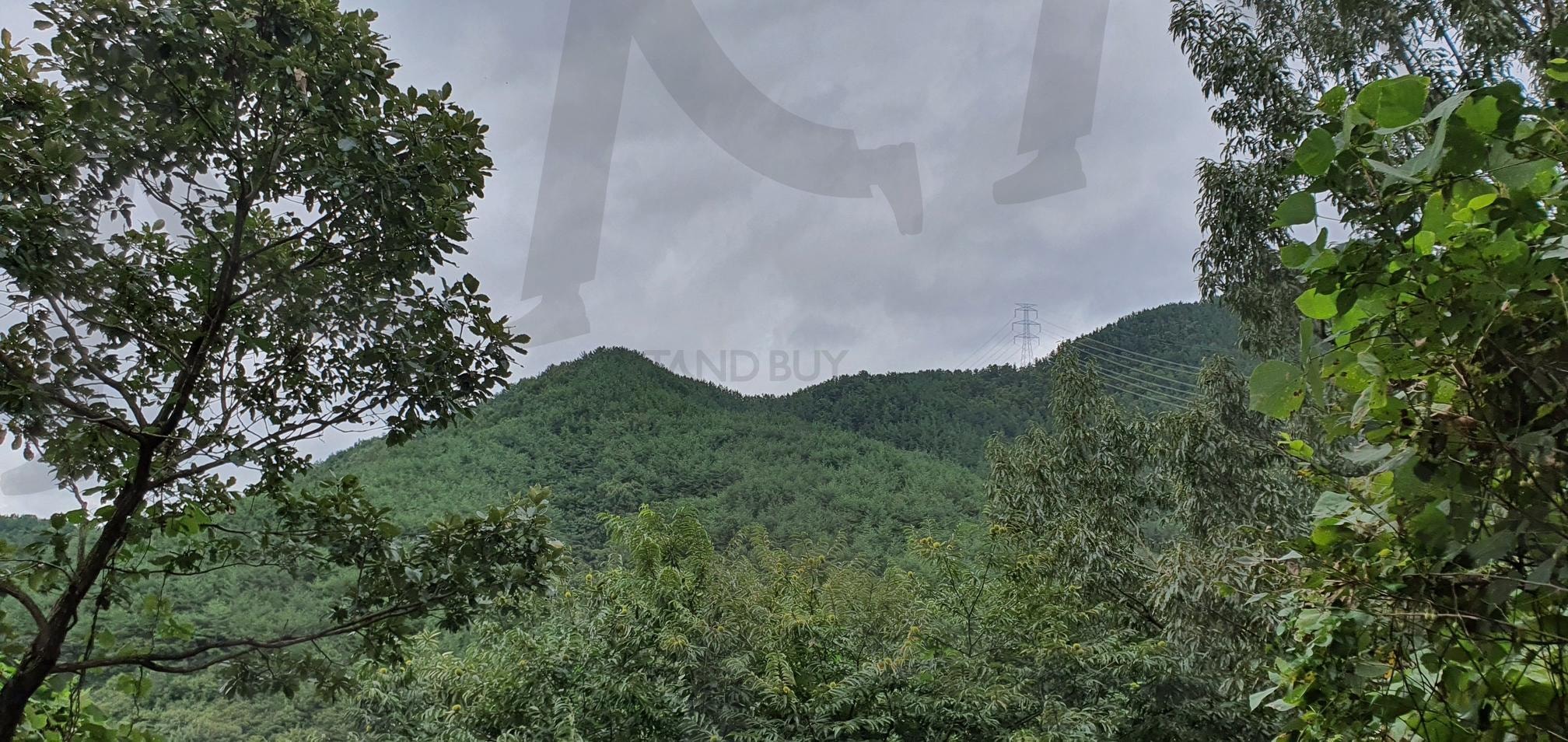 흐린 날의 자연 속으로 | 흐린 날씨, 산, 안개, 고요함, 비, 자연, 평화로운 풍경, 조용함, 차분한 분위기, 숨결, 자연의 아름다움, 자연 속으로, 부드러운 색감, 신비로운, 산의 윤각, 여유 | 스탠바이 STANDBUY 디지털 콘텐츠