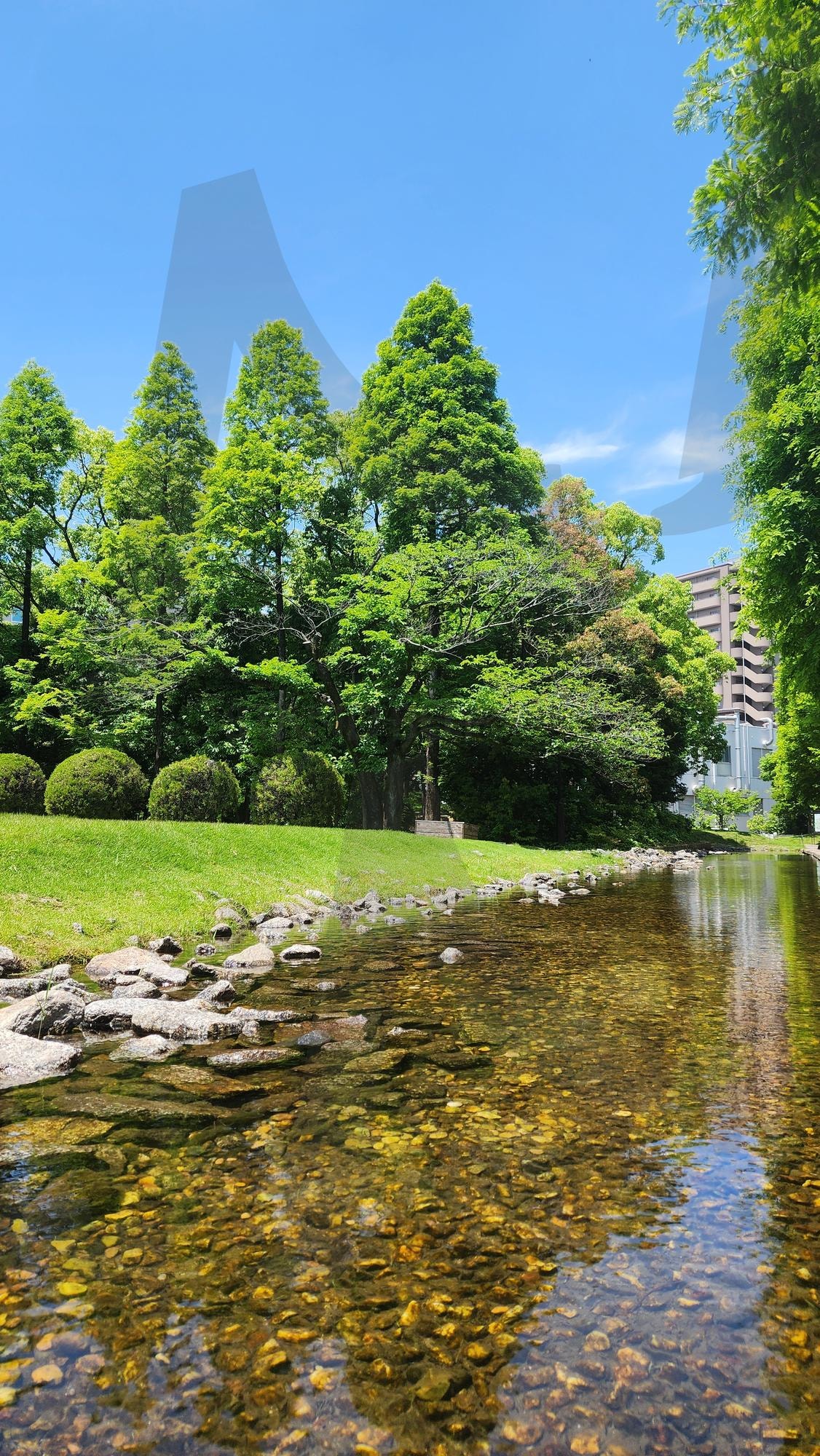 노리타케의 숲 (ノリタケの森) | 노리타케의 숲, ノリタケの森, 도심속의자연, 잔잔한, 여행사진, 안식, 마음이편해, 일본 | 스탠바이 STANDBUY 디지털 콘텐츠