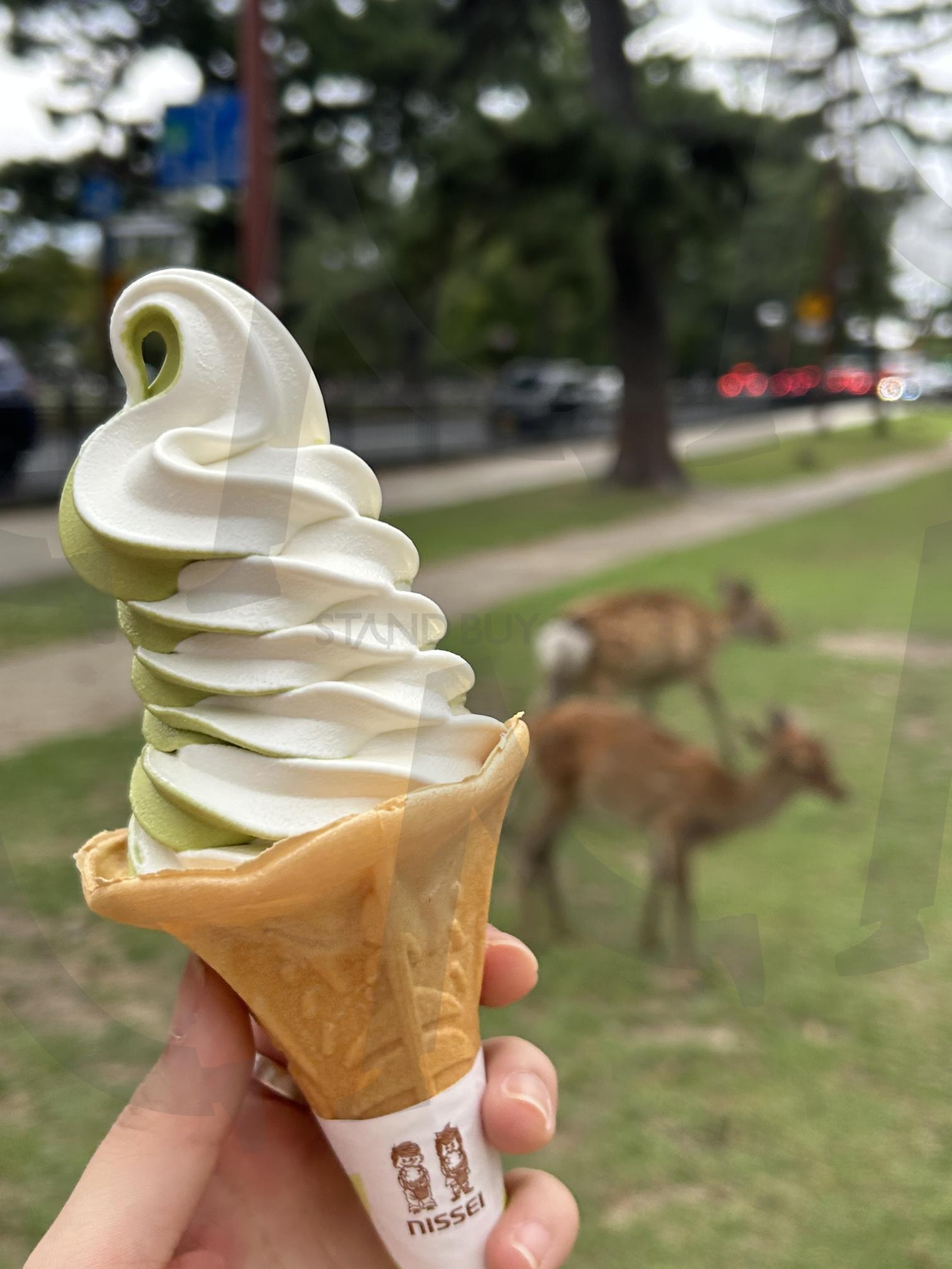 ice cream | 아이스크림, 일본, 사슴공원, icecream, 공원 | 스탠바이 STANDBUY 디지털 콘텐츠