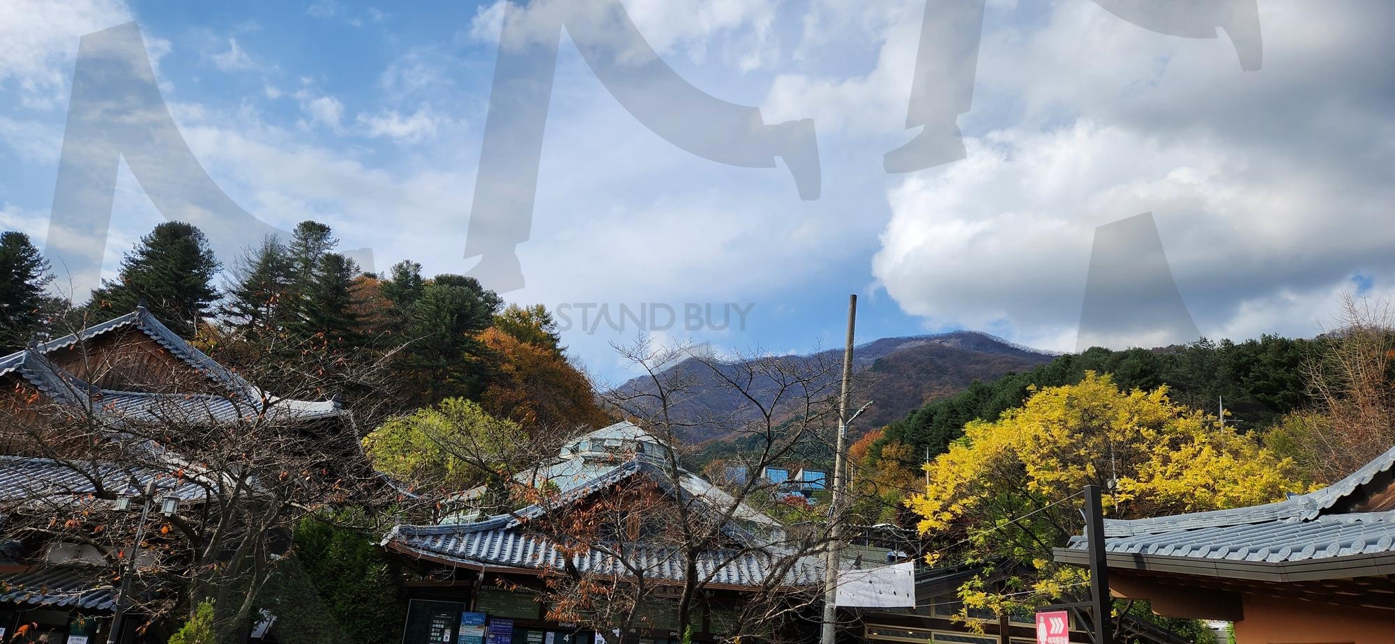 아침고요수목원 입쪽에서 내부를 바라본 사진 | 아침고요수목원, 가평, 수목원, 국화, 아침고요 | 스탠바이 STANDBUY 디지털 콘텐츠