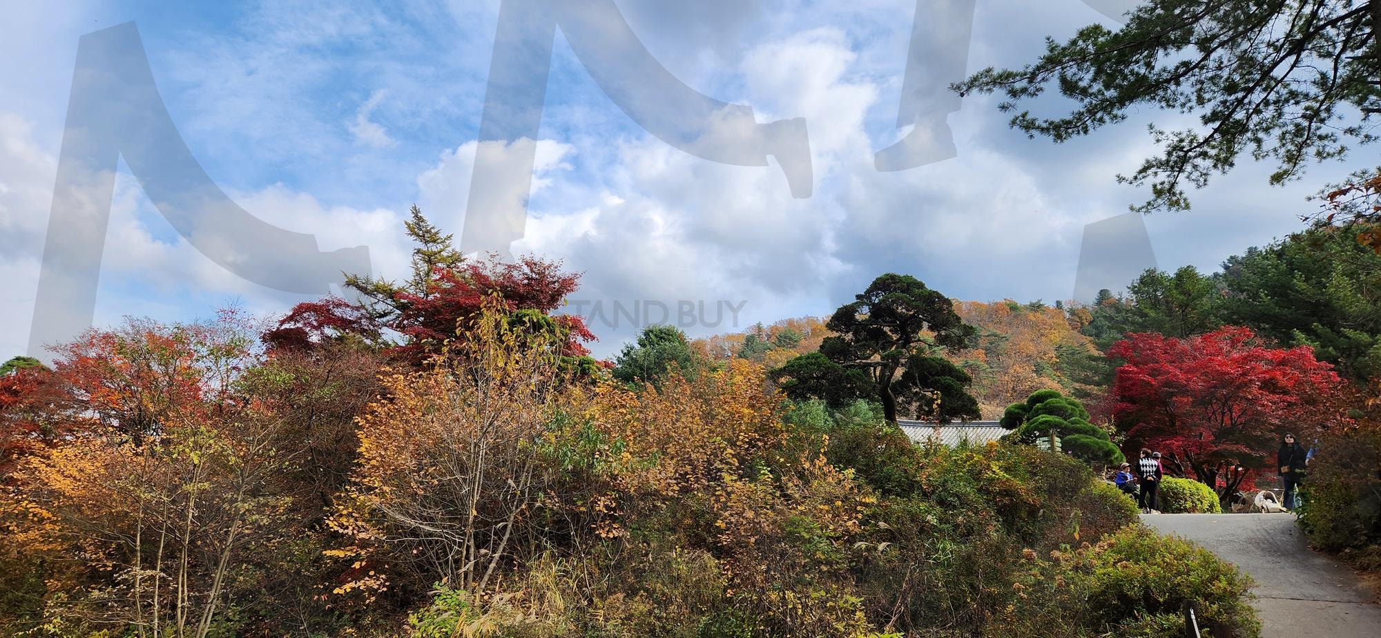 아침고요수목원 경관사진 | 가평, 아핌고요수목원, 아침고요, 수목원, 경관 | 스탠바이 STANDBUY 디지털 콘텐츠