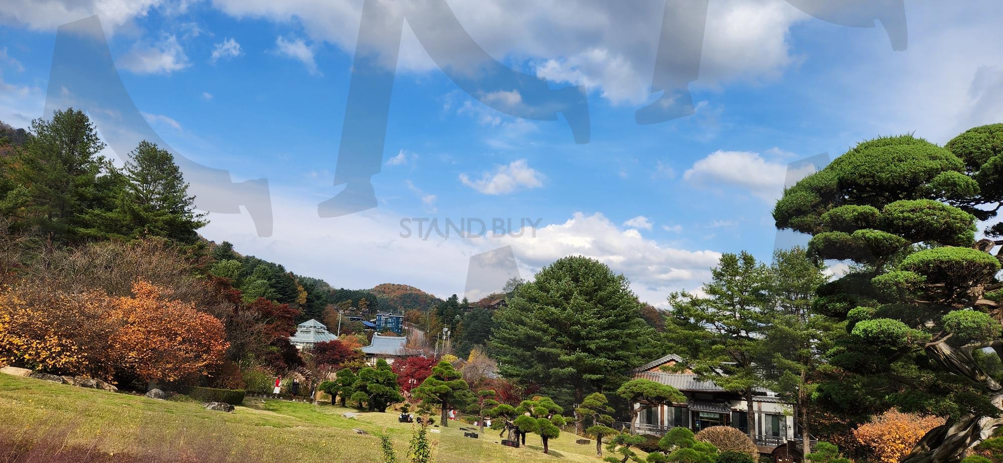 아침고요수목원 경관사진 | 가평, 아침고요수목원, 아침고요, 수목원, 향나무 | 스탠바이 STANDBUY 디지털 콘텐츠