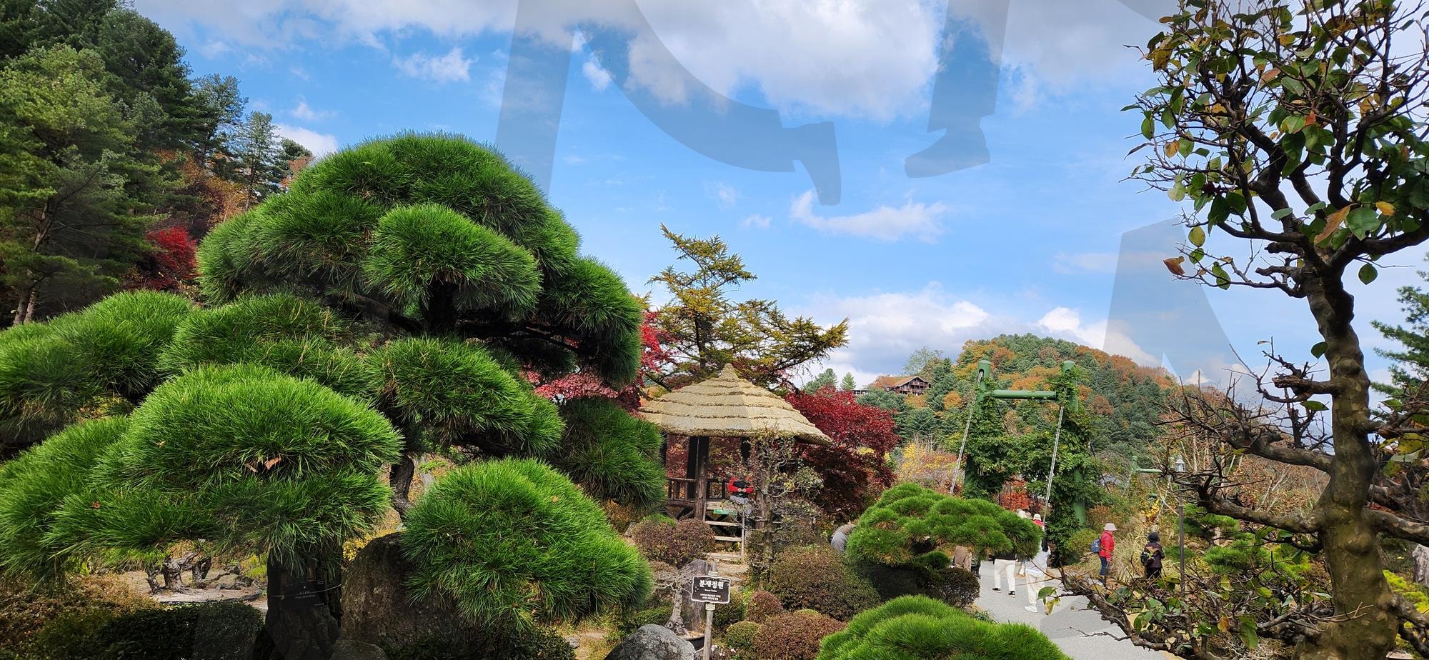 아침고요수목원 경관사진 | 가평, 아침고요, 수목원, 아침고요수묵원, 향나무 | 스탠바이 STANDBUY 디지털 콘텐츠