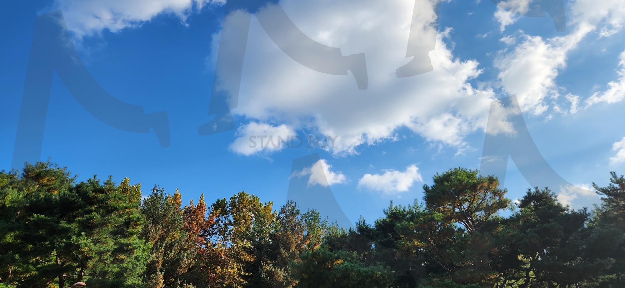 불곡산 입구에서 본 맑은 하늘 | 하늘, 불곡산, 성남, 분당, 등산로 | 스탠바이 STANDBUY 디지털 콘텐츠