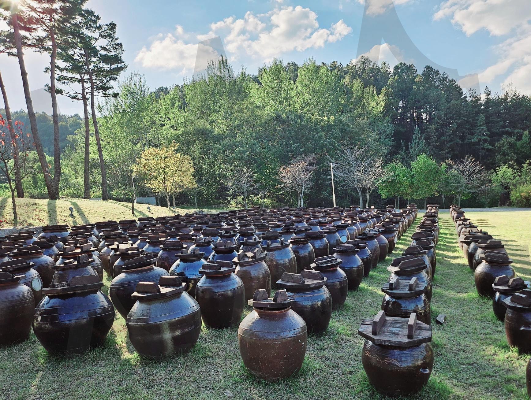 대한민국 술테마박물관 | 항아리, 발효, 술테마박물관, 구이저수지, 가을나들이, 단풍 | 스탠바이 STANDBUY 디지털 콘텐츠