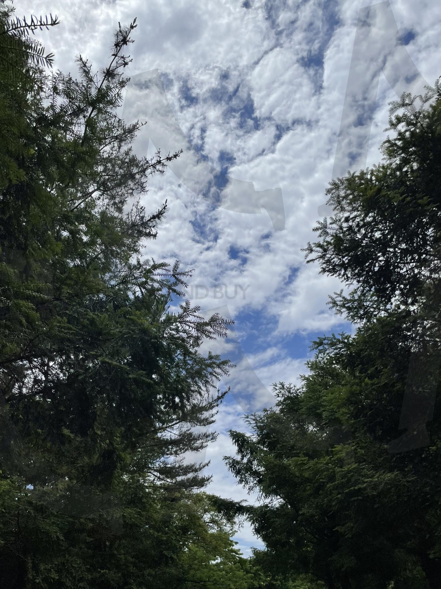 하늘 | 추억, 하늘, 날씨, 숲, 가을 | 스탠바이 STANDBUY 디지털 콘텐츠