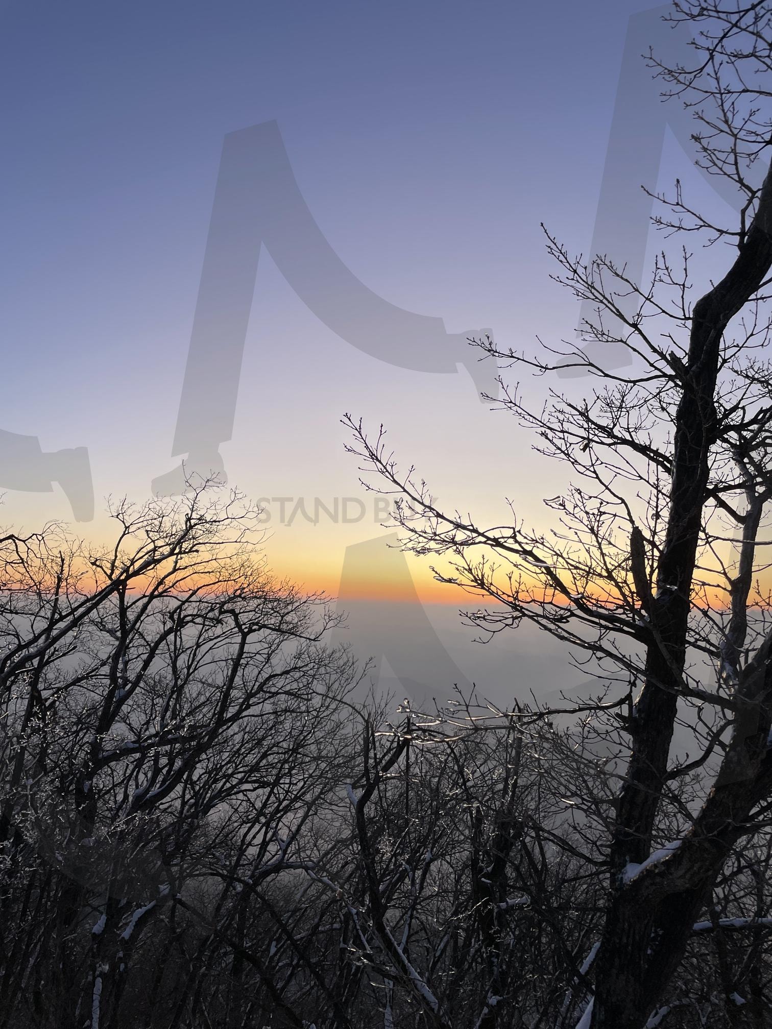 겨울 일출 | 겨울, 강원도, 일출, 눈꽃, 가리왕산 | 스탠바이 STANDBUY 디지털 콘텐츠