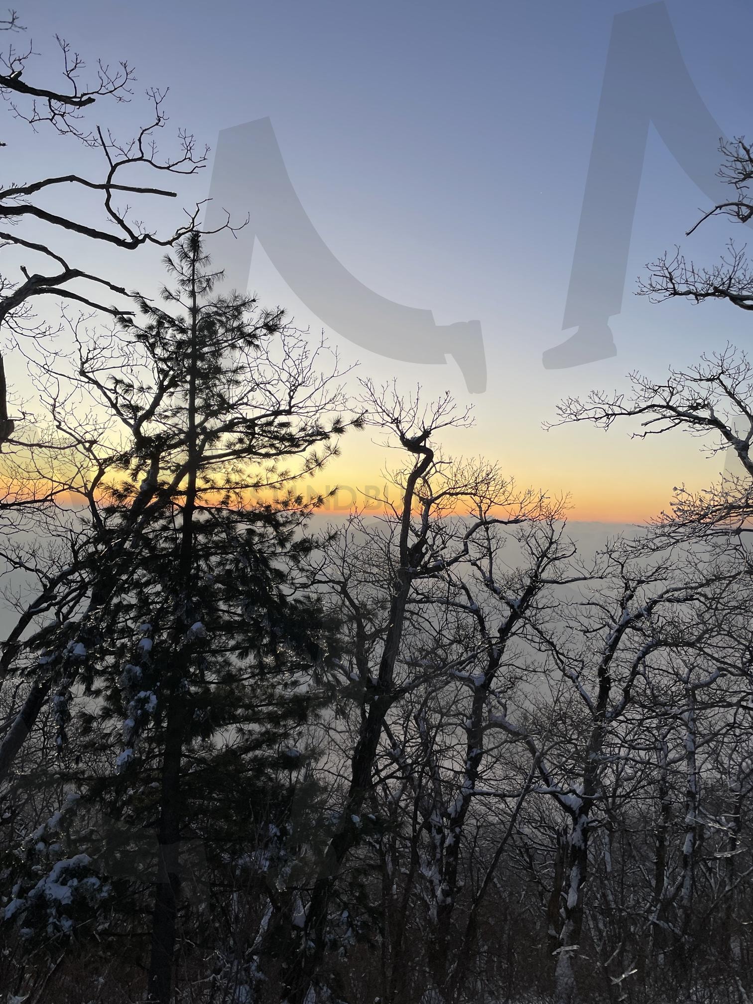 가리왕산 | 겨울, 자연, 눈꽃, 강원도, 운해 | 스탠바이 STANDBUY 디지털 콘텐츠