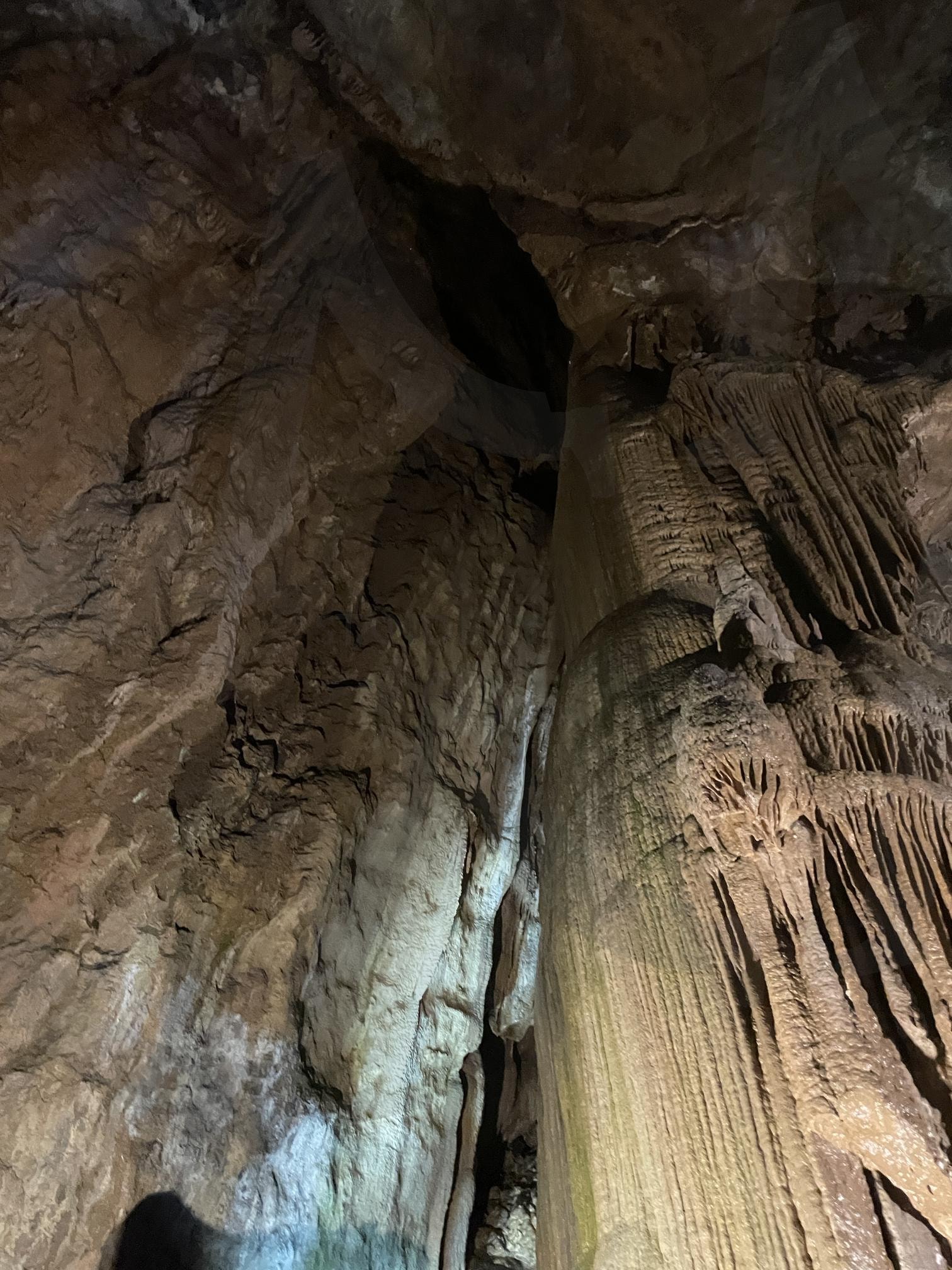정선 화암동굴 | 강원도, 자연, 동굴, 화암동굴, 대자연 | 스탠바이 STANDBUY 디지털 콘텐츠