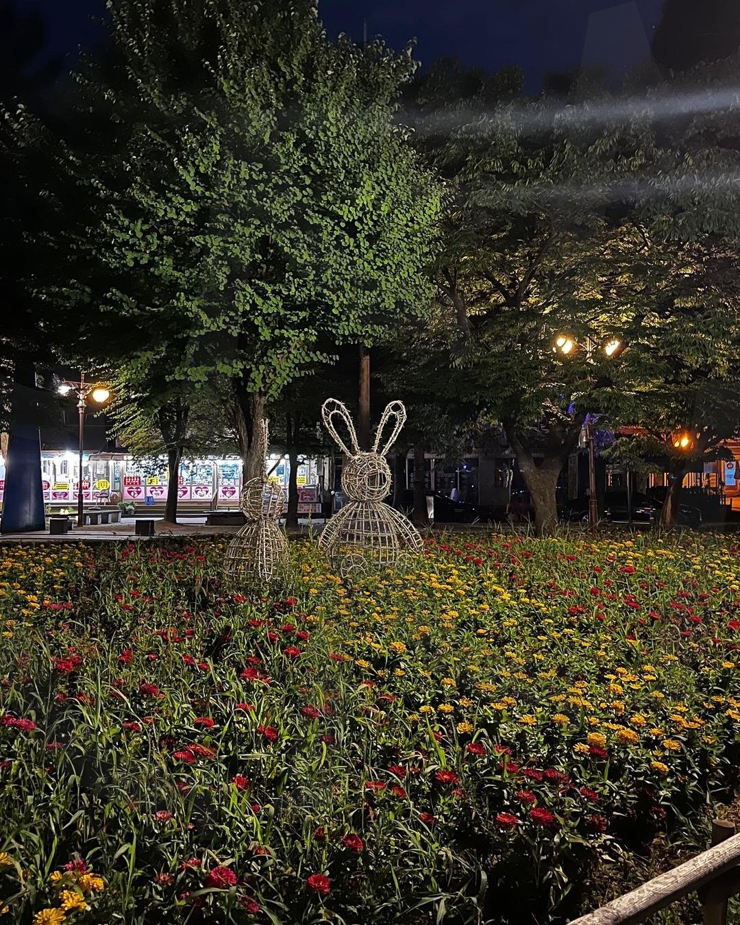 공원 | 포천, 공원, 산책, 야경, 한국, 명소, 놀거리 | 스탠바이 STANDBUY 디지털 콘텐츠