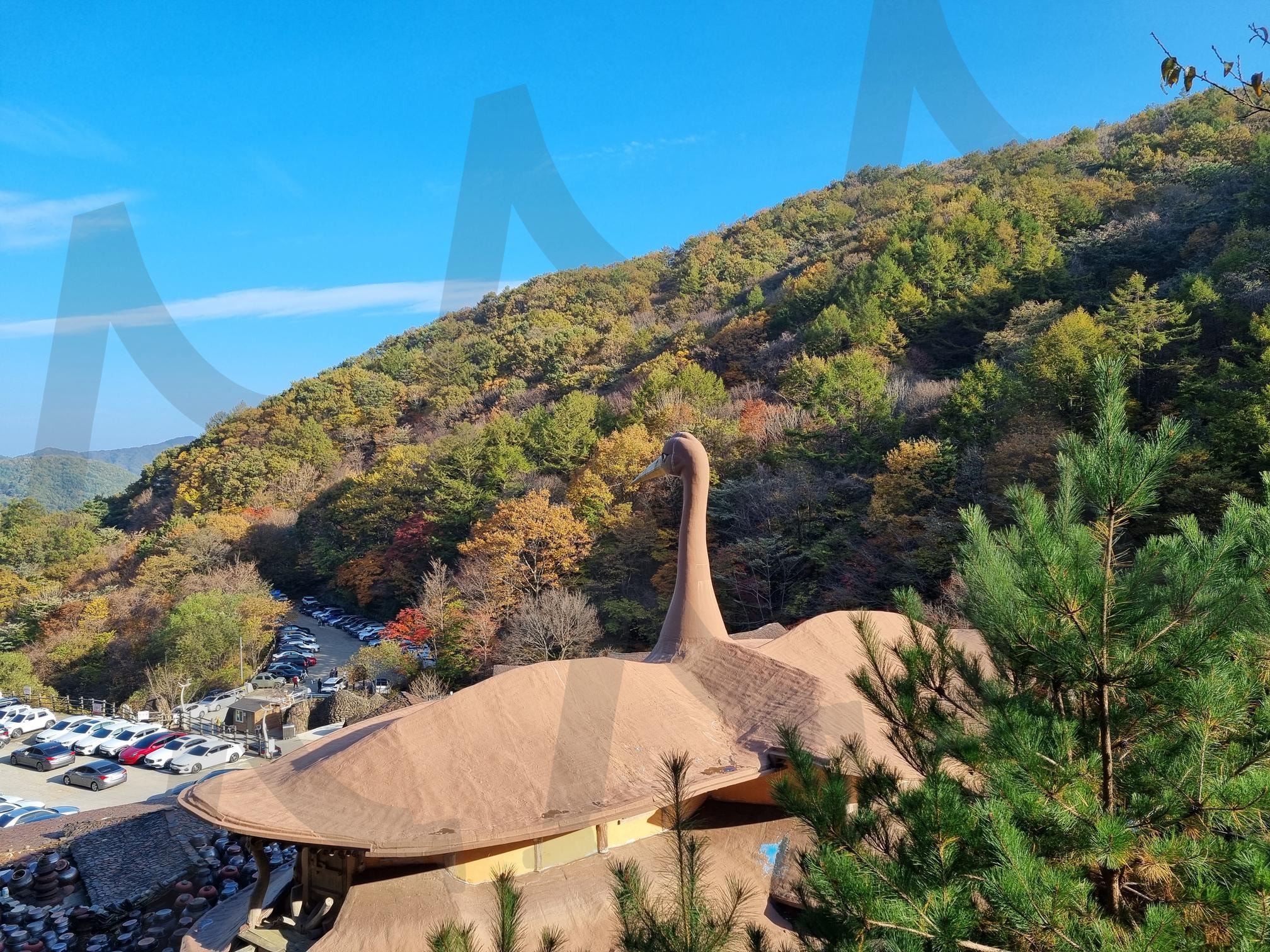 삼성궁의 가을 | 삼성궁, 하동군, 가을, 새, 마스코트, 단군신화, 하늘, 낙엽, 단풍 | 스탠바이 STANDBUY 디지털 콘텐츠