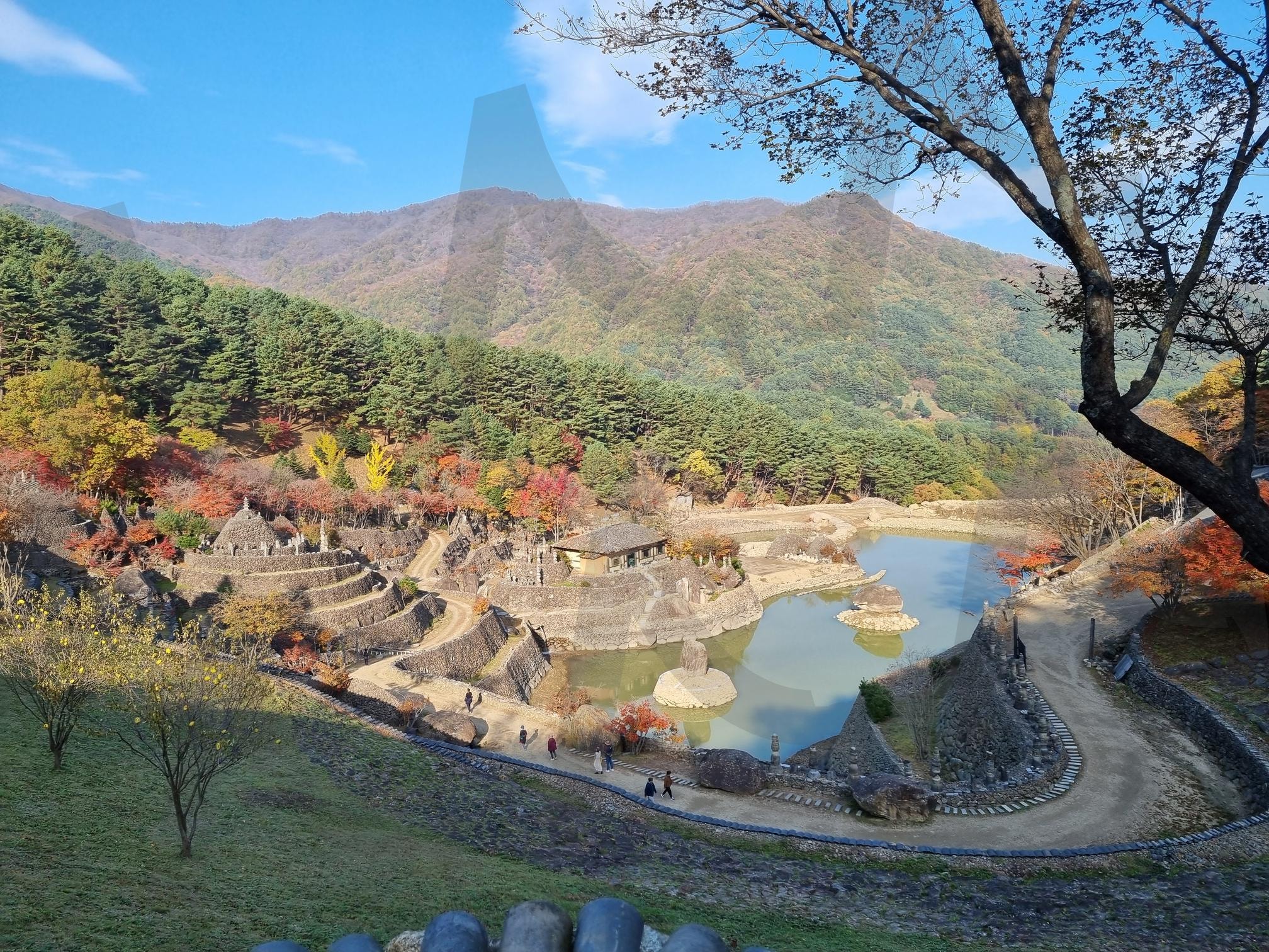 삼성궁의 가을 풍경 | 가을, 삼성궁, 낙엽, 단군, 하늘, 푸른, 단풍, 소풍, 강, 산 | 스탠바이 STANDBUY 디지털 콘텐츠