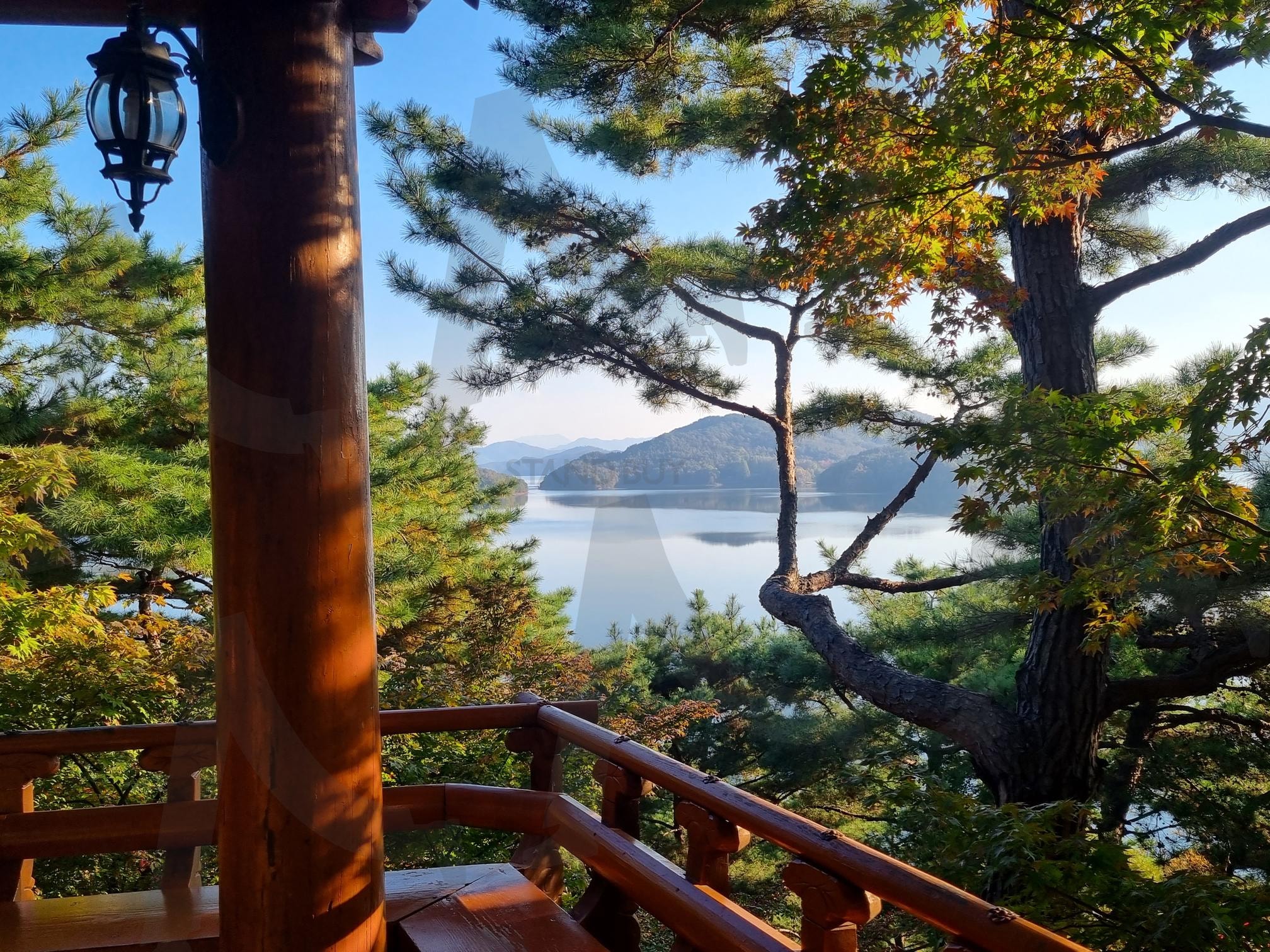 소나무, 호수 경치 | 청남대, 소나무, 가을, 풍경, 청주, 대통령, 별장 | 스탠바이 STANDBUY 디지털 콘텐츠