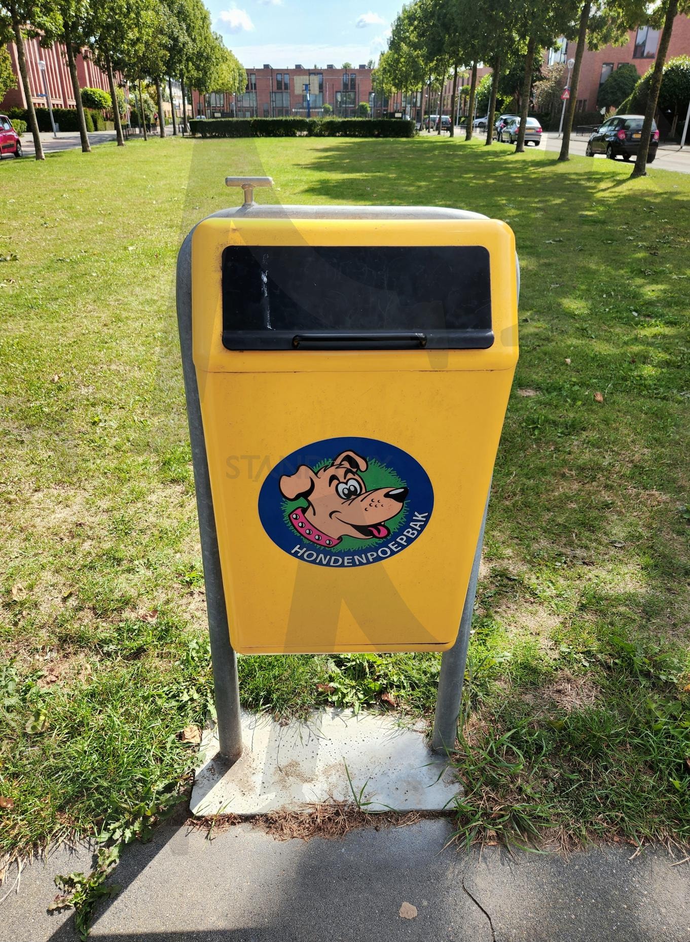강아지 배변 쓰레기통 | 강아지, 배변, 쓰레기통, 유럽, 네덜란드, 암스테르담, 반려동물, 산책 | 스탠바이 STANDBUY 디지털 콘텐츠