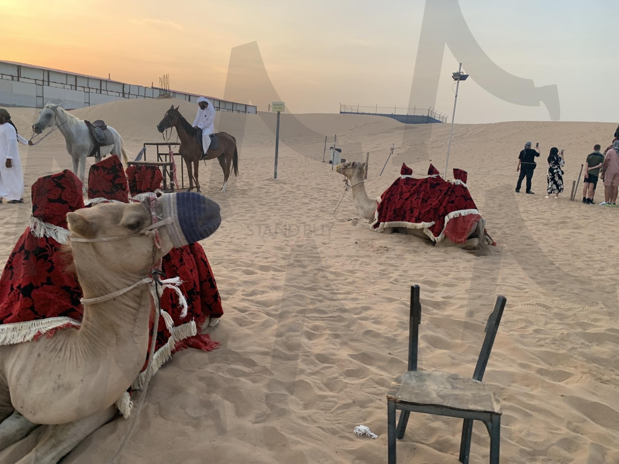 두바이 사막 낙타투어 | 두바이, 사막, 낙타투어, 두바이사막, 낙타두바이 | 스탠바이 STANDBUY 디지털 콘텐츠