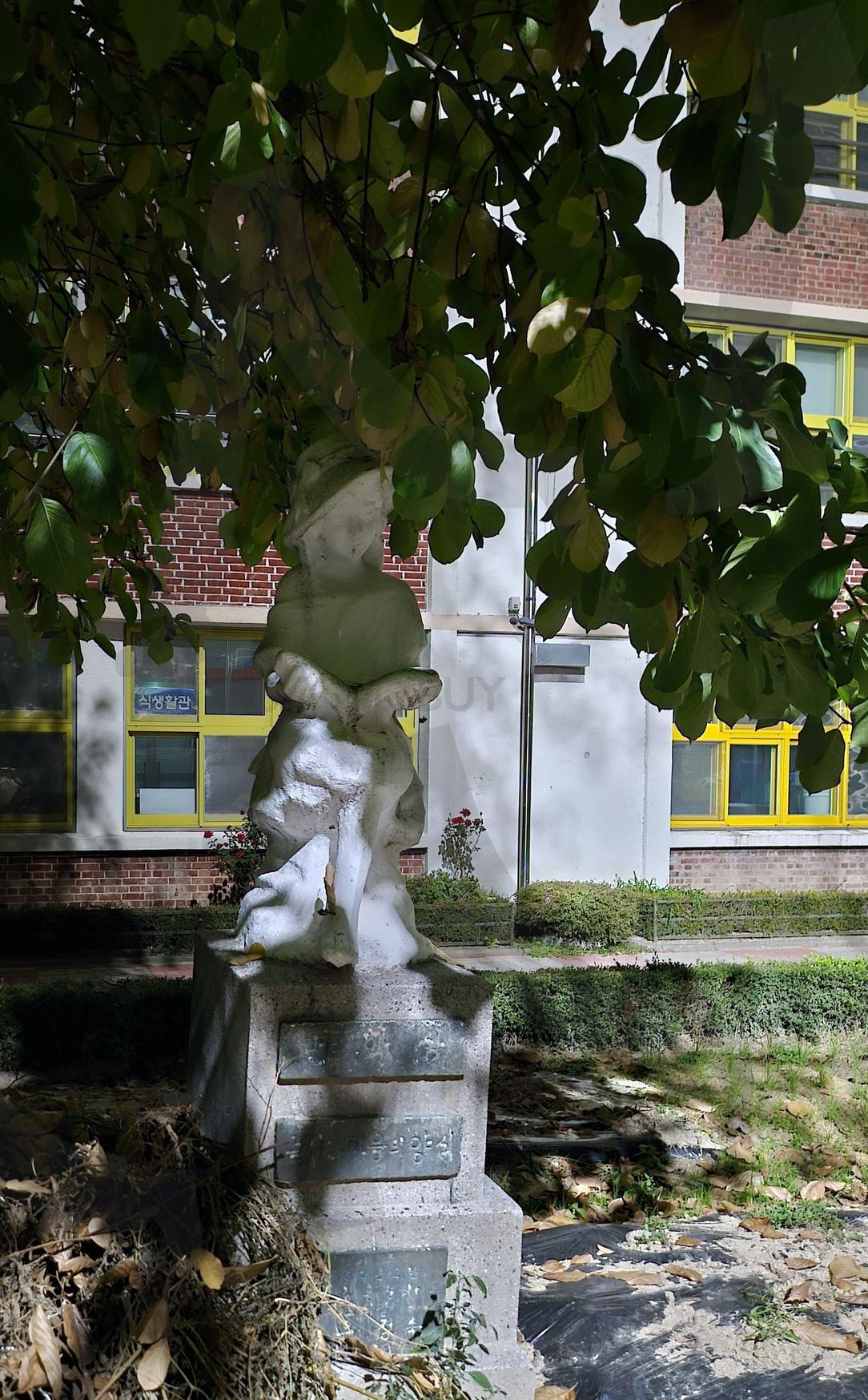 학교에서 볼 수있는 책읽는. 소녀상 | 초등학교, 저녁, 책읽는소녀상, 동상, 운동하기 | 스탠바이 STANDBUY 디지털 콘텐츠