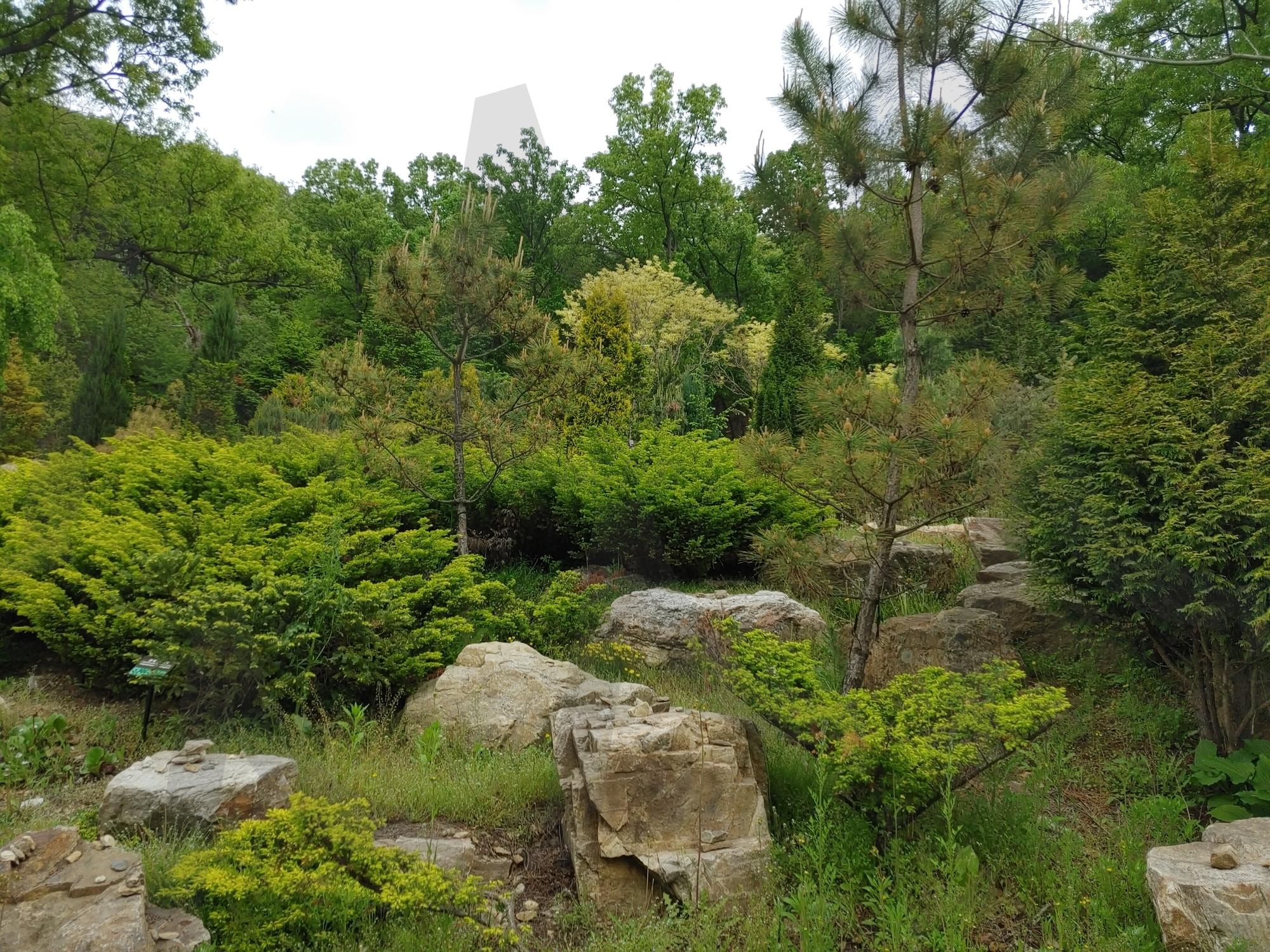 파주에 있는 율곡수목원 | 율곡수목원, 파주수목원, 5월, 파주가볼만한곳, 나무와돌, 우거진나무, 파주당일치기, 힐링, 수목원산책 | 스탠바이 STANDBUY 디지털 콘텐츠