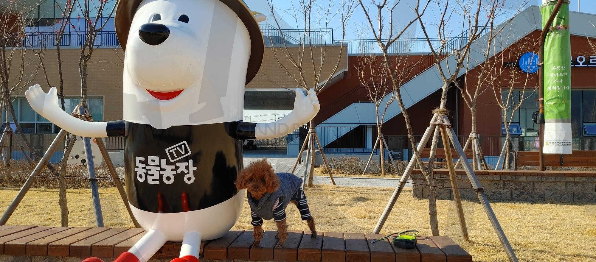 오산 반려동물 테마파크 | 오산, 반려동물, 테마파크, 도그런, 어질리티존 | 스탠바이 STANDBUY 디지털 콘텐츠