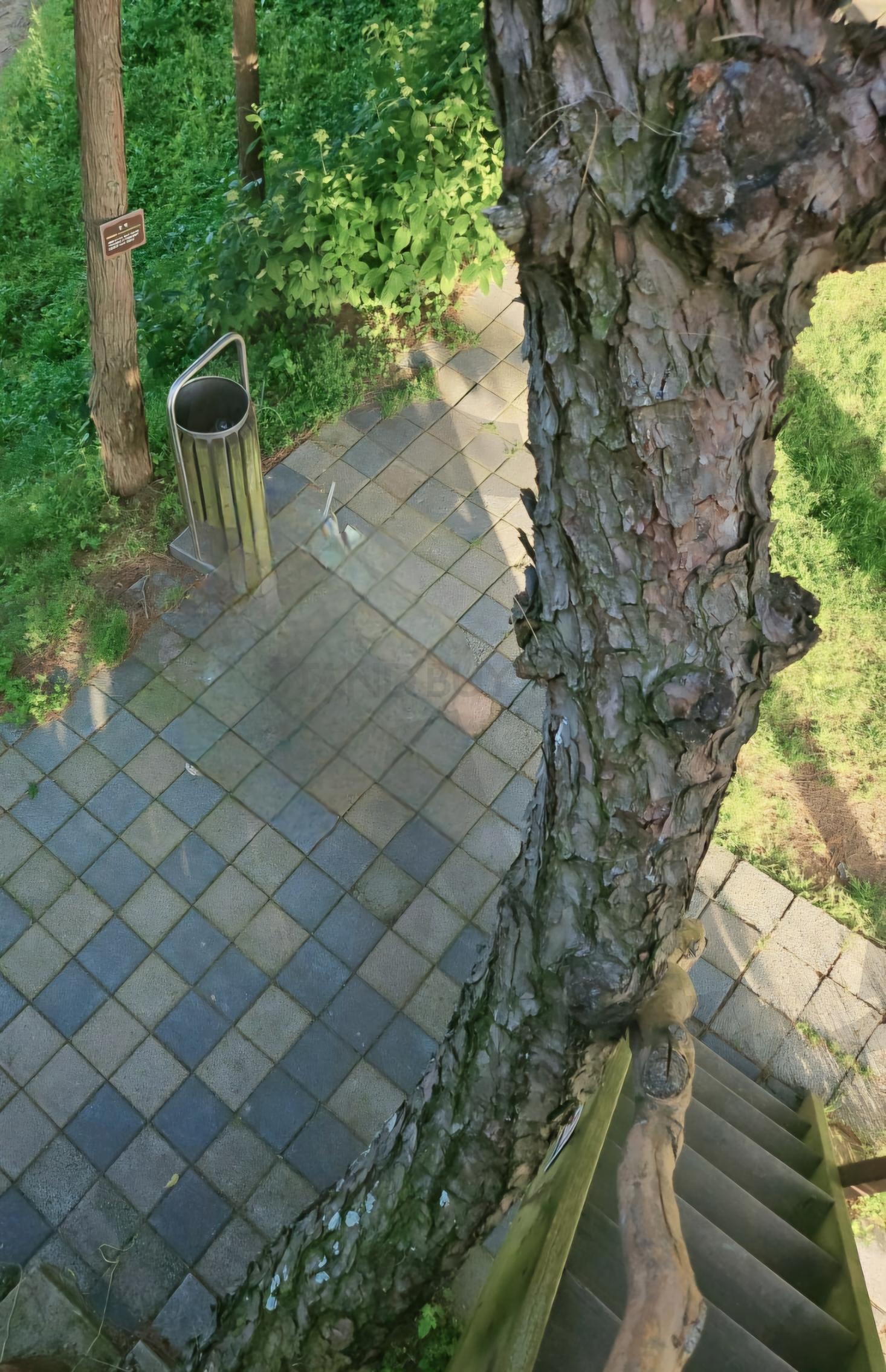 익산 달빛소리수목원 | 나무위, 계단있음, 신기방기, 익산, 달빛소리수목원, 볼거리가득, 가을여행, 신난당 | 스탠바이 STANDBUY 디지털 콘텐츠