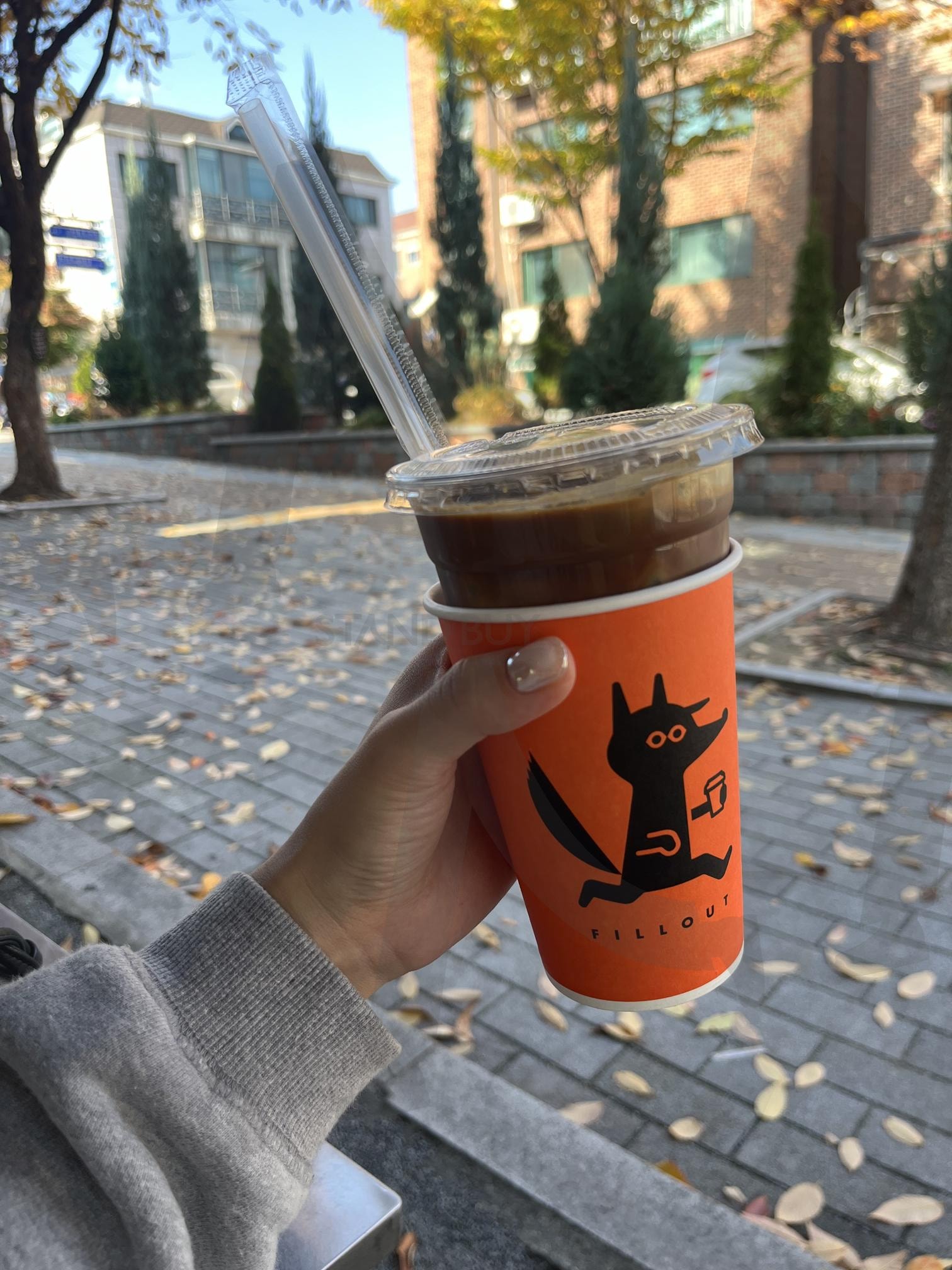 a coffee in autumn | rest, coffee, autumn, fillout, lazy | 스탠바이 STANDBUY 디지털 콘텐츠