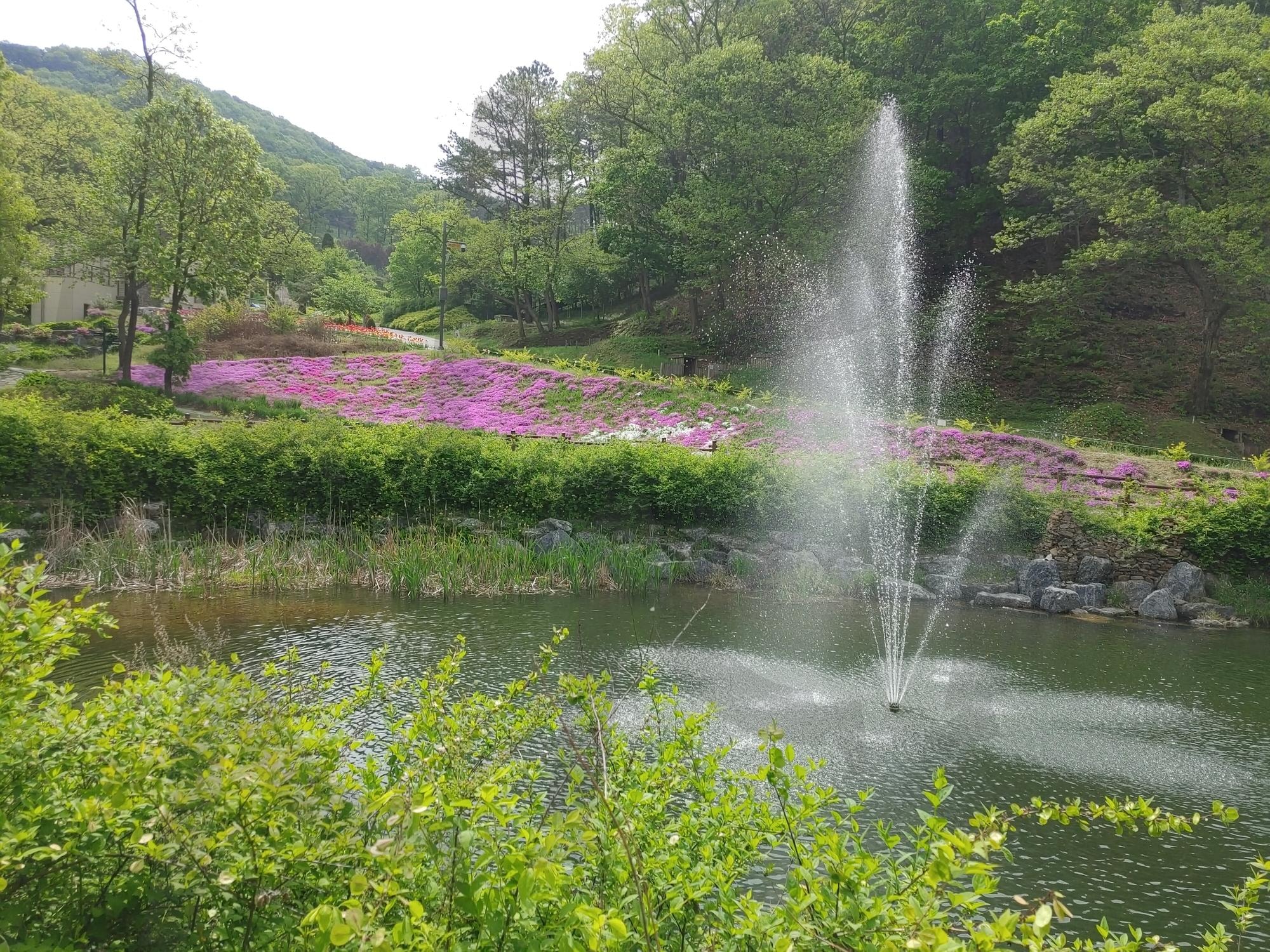 수목원 안 분수대 | 분수대, 수목원분수대, 수목원산책, 5월산책, 파주수목원, 율곡수목원, 파주율곡수목원 | 스탠바이 STANDBUY 디지털 콘텐츠