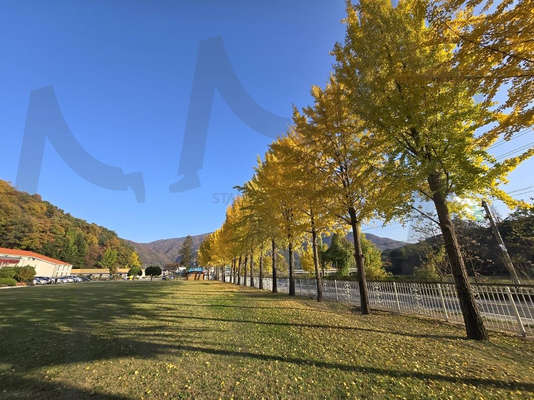 호산나대학 전경 | 호산나대학, 발달장애인, 발달장애고등교육기관, 청평호산나대학, 발달장애인 호산나대학 | 스탠바이 STANDBUY 디지털 콘텐츠