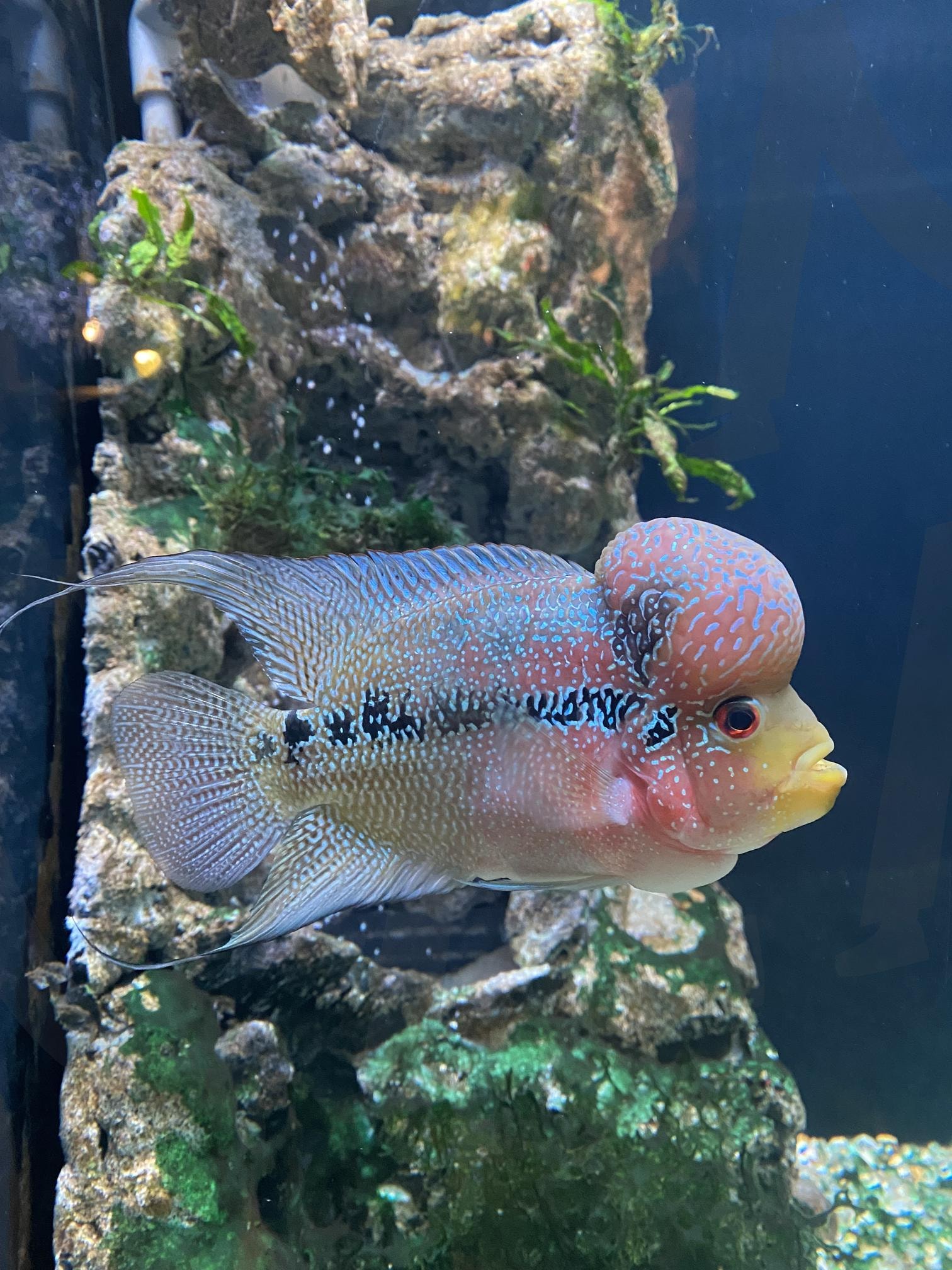 아쿠아리움 | 아쿠아리움, 단양, 민물아쿠아리움, 단양여행지, 데이트코스, 가족나들이 | 스탠바이 STANDBUY 디지털 콘텐츠