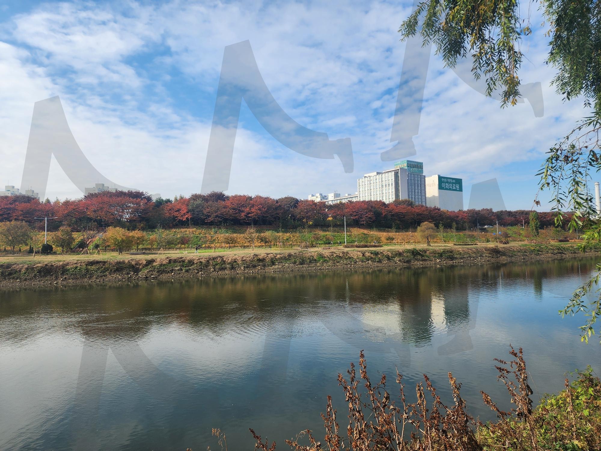 공원 | 서울, 선유도, 공원, 산책, 리버뷰, 공원뷰 | 스탠바이 STANDBUY 디지털 콘텐츠